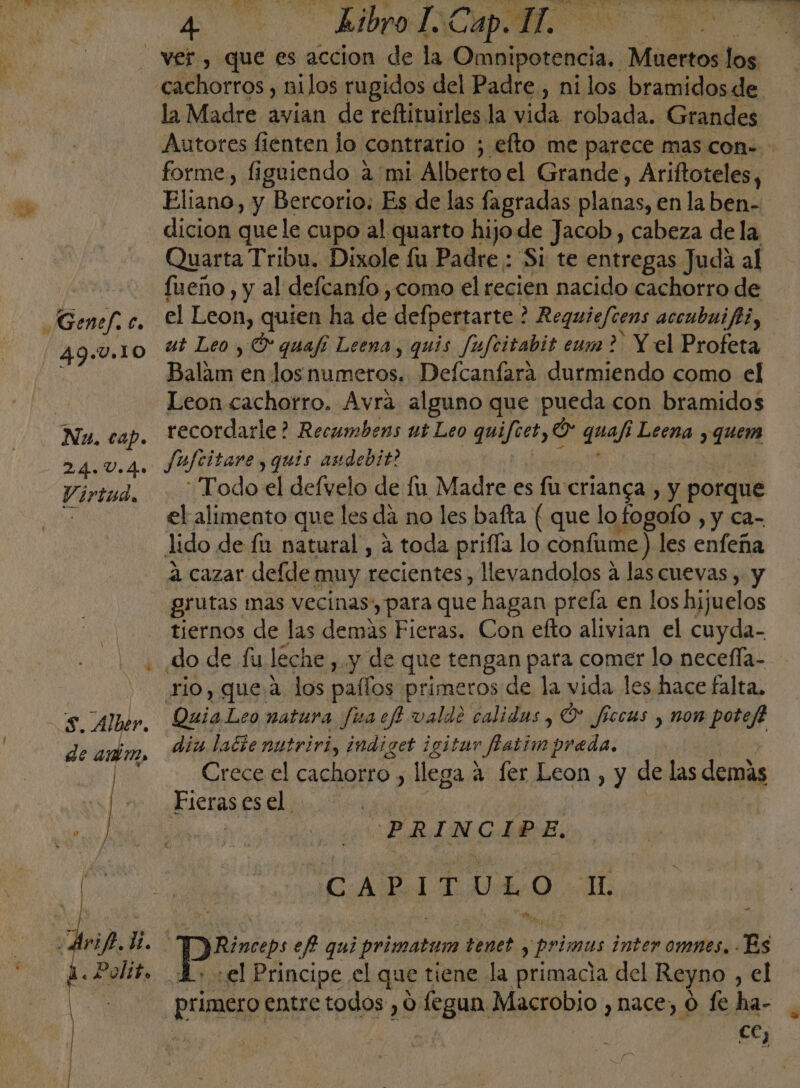 49.10.10 la Madre avian de reftituirles la vida robada. Grandes Autores fienten lo contrario ; efto me parece mas con- forme, figuiendo a mi Alberto el Grande, Ariftoteles, Eliano, y Bercorio: Es de las fagradas planas, en la ben- dicion que le cupo al quarto hijo de Jacob, cabeza de la Quarta Tribu. Dixole lu Padre : Si te entregas Juda al fueño, y al defcanfo como el recien nacido cachorro de el Leon, quien ha 20d defpertarte ? Requiefcens accubnifti, ut Leo , O quafí Leena, quis Jufcitabit eum ? &gt; Y el Profeta Baliar: en los numeros. Defcanfara durmiendo como el Leon cachorro, Avrá alguno que pueda con bramidos recordarle? Recumbens ut Leo quifeet, O quef ¡Leena y quem Jfufcitare , quis audebit? Todo el defvelo de lu Madre es fu crianca , y porque el alimento que les dá no les bafta ( que lofogofo , y ca- a cazar defde muy recientes , llevandolos á las cuevas , y grutas mas vecinas, para que hagan preía en los hijuelos tiernos de las demas Fieras. Con efto alivian el rios QuiaLeo natura fia efi valde calidas , O ficcus , non potefi dia ladienutriri, indiget igitur fhatim Ae da: Crece el cachorro y llega a fer Leon, y de las demás Fieras esel PRINCIPE, CAPITULO JE Hd DRinrep ef quí primatum tenet , primas inter omnes, Es ,el Principe el que tiene. la primacia del Reyno , el NS k o k ' €C;