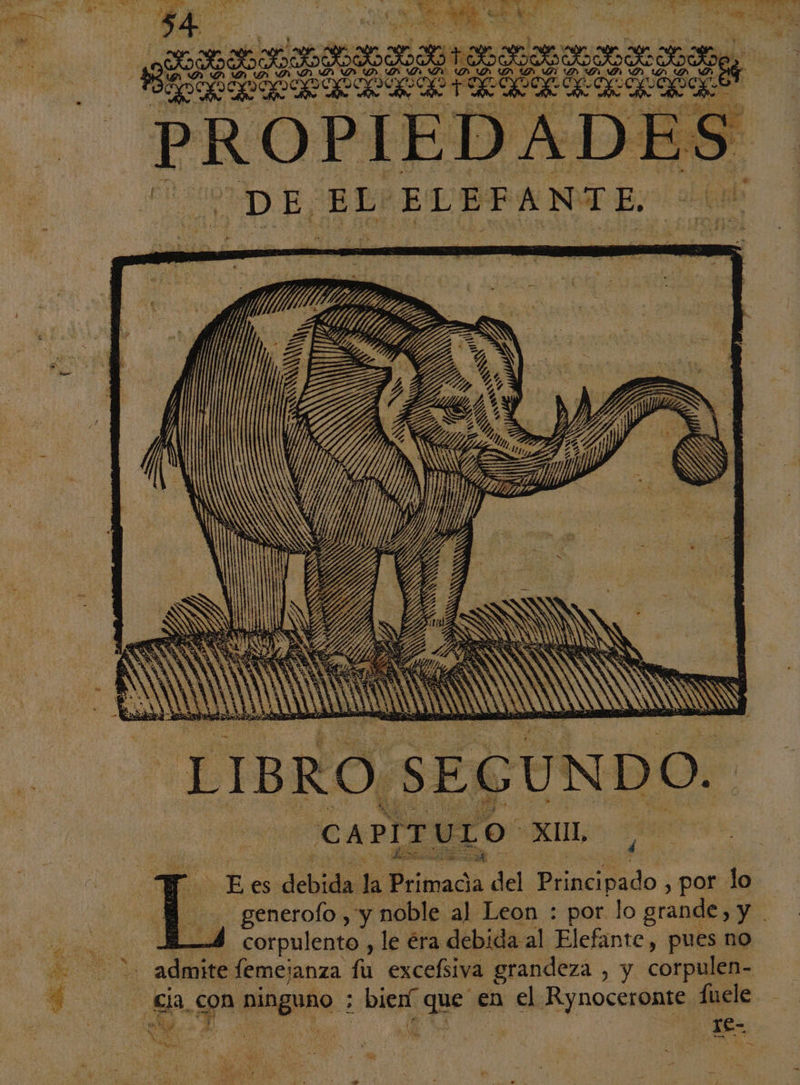 = ADN == ==&gt; 7, EÁXRR 4 : : Sn) CAPITULO: xo Ñ He debida la Brimada del Puntivado , por lo - generofo,y noble al Leon : por lo grande, y | _—4 corpulento , le éra debida al Elefante, pues no xe-