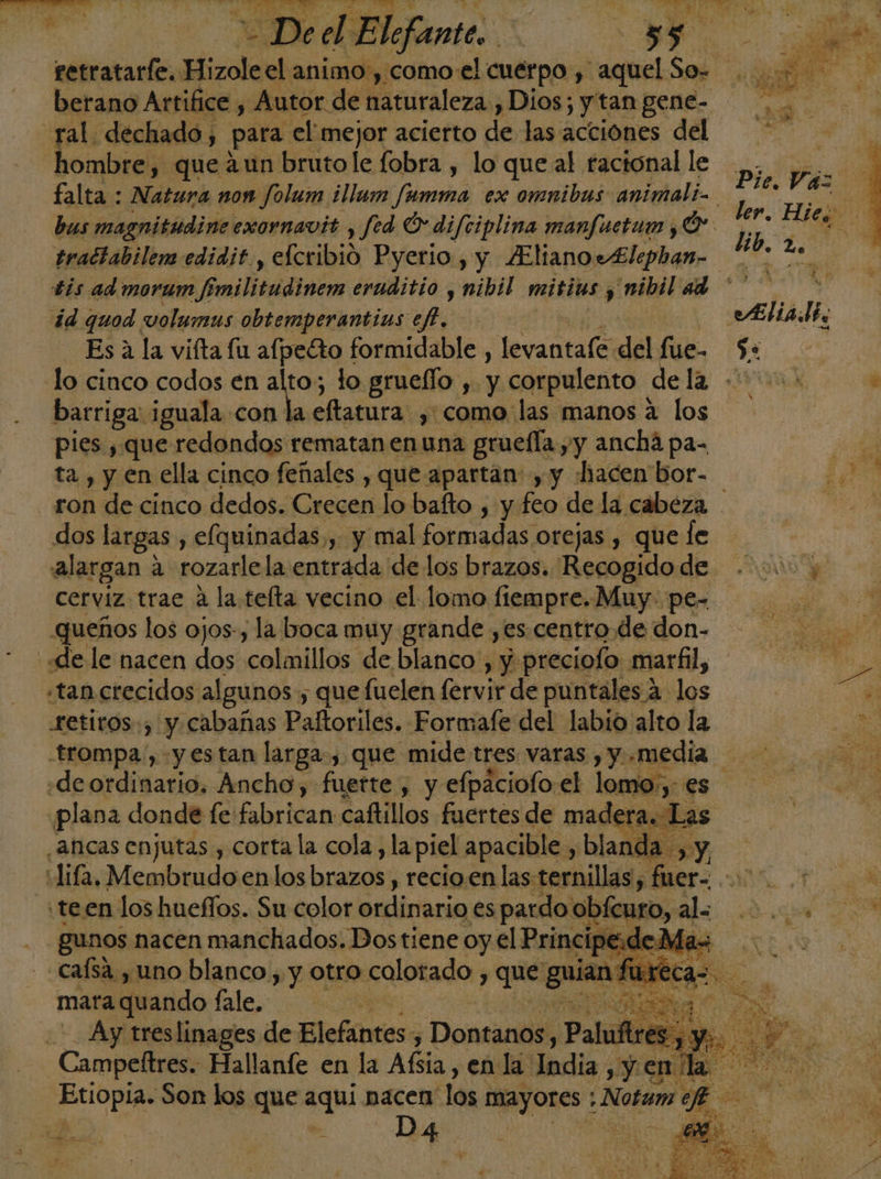 : De el Elefante. | yw. - retrataríe. Hizole el animo , como el cuerpo , aquel So= 2 berano Artifice , Autor de naturaleza , Dios; ; y tan gene- á ral. dechado, para el mejor acierto de las acciones del hombre, que 2un brutole fobra , lo que al ractonal le falta : Natura non Jolum ¿llum ed: ex omnibus animali= bus magnitudine exornavit , fed O difciplina manfuetum ¿O tractabilem edidit. , efcribió Pyerio , y ¿Elianovflephan- tis admorum e fnilitádinens eruditio y nibil mitius , ina? ad * id quod volumus obtemperantius eft. eAliali, Es a la vifta fu afpeGto formidable , levantafe del fue. $: lo cinco codos en 0 lo grueflo , y corpulento de la vu Ñ barriga: iguala con la eftatura , como las manos a los pies ¿que redondos rematan en una gruefía yy ancha pa- ¿e ta , y en ella cinco feñales , que apartan: y y ¡hacen bor- Ae ron de cinco dedos. Crecen lo bafto , y feo de la cabeza he dos largas , elquinadas,, y mal formadas orejas , que le alargan : A rozarle la entrada de los brazos. Recogidode 00 y cerviz trae a la tefta vecino el lomo fiempre. Muy. pe- si | queños los ojos-, la boca muy grande ,es.centro de don- «de le nacen dos colmillos de blanco , y preciofo marfil, «tan crecidos algunos ; que fuelen fervir de puntales 4. los E retiros, y cabañas Paftoriles. Formafe del labio alto la - trompa, «y estan larga, que mide tres varas , y «media E «de ordinario. Ancho, fuette , y efpaciofo el lomo, es plana donde fe fabrican caftillos fuertes de maderas Las ¿Ancas enjutas , corta la cola , la piel apacible , blanda , y difa, .Membtudo enlos brazos, recioen las ternillas, fer. » teen los hueflos. Su celor ordinario es pardo obfcuro, al. A gunos nacen manchados. Dos tiene oy el PrincipedeMe A -Cafsa , uno blanco , y otro colorado 7 que am 1 fu re sy mara quando fale. | O, - Ay treslinages de Elefantes: ; Dontanos, Paluftri Sy da y Campeftres. Hallanífe en la Afsia, en la India , y o Etiopia» Son los que qua nacen los mayores : : Notum e a, . D4 | Pie. Váz ler, Hies eb. Le ce
