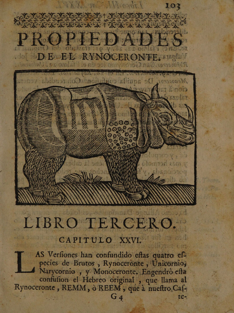 Ep Sa : , ss Fabs El E Pe Pak es Y A, A. Ñ p + &gt; 7 &gt; 8 A 14 PP ¿e a ú 10 P y] . 5 Xx CITE . qEA &gt; : y &gt; Le ar, VE cai nn En e O k ES ? po A ARANA e » 3 e AA O SS A | 4 14 ed 13 G A Oiriad A AAA A, , E Ñ pi EA « a E A E E ] Ñ e 5 ¡Ka . Pon LEA E TE Y E : 2 a E o  UE pS IO 5D: GA PNG $: FE €) UA, FIBOTES a ON E INP IIA 3 vo we a PP AS ne ds Fo o Y - A e yl extry! IAS AR A aa e HANA A o Y Ñ A PR LL dl A E IE A FINES CEMIS EA LN RAE o Y rm. S S la $ PERS La fp 0 A ISO cr 140 2 A | E OSOS YY ye NON NSSESS NN ¿Dd a spa REP ' pe AER : La 1, 0 A DE Jn 4 Ed ; pe E $ a L - M My NE IR E TAS o $ A o oa o De NE E Ñ A TN . TN a. SS A vi ie RA 3 TS ? 27 . , a A + AS Verfiones han confundido eftas quatro efe pecies de Brutos , Rynocerónte , Unicornios 2-4 Narycornio ; y Monoceronte. Engendro.efta Be - confufion: el Hebreo original , que llama al - Rynoceronte , REMM, 9 REEM') qué a nueftro.Cafa e (ea Ar ES po y O t SE Sia »-.,