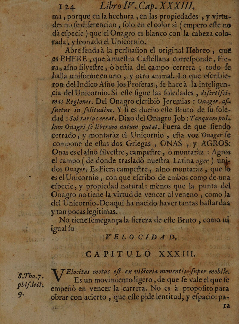 ma , porque en la hechura , én las propiedades y y virtu=. des no fe diferencian, folo en el colór si ( empero efte no 3 - dielpecie ) que el Onagro es blanco con la cabeza coles, | tadas y leonado el Unicornio. ) Abre fendaa la perfirafion el opio Habrios: qué es PHERE,quea nueltra Caftéllana correfponde, Fie= ra, aíno filveftre , Obeftia del campo cerrera ; todo fe : halla. uniformeenuno , y otto animal. Lo que efcribie= «ron del Indico Afio losProferas , fe hacea la inteligen= cia del Unicornio. Si' efte figue ve foledades y difertifsio mas Regiones. Del Onagro elcribió Jeremias: Onagersafa Juetus in folitudine. Y fi es dueño elte Bruto de fu fole- dad :Sol tarias errar. Dixo del Onagro Job: Tanguar) pul= lum Onagri fe liberum natum putat. Fuera de que fi endo cerrado, y montaraz el Unicornio , efta voz 'Onager le compone de eftas dos Griegas , ONAS , sy: AGROS: Onas eselafno filveftre, campeltse , O montaraz : Agros el campo (de donde traslado nueftra Latina ager) e dos Onager. Es Fiera campeftre, afno montaráz , que 3 + eselUnicornio con que efcribo de ambos como de.una - elpecie, y propiedad natural: menos que la. punta del Onagro notiene la. virtudde vencer alveneno , comola del Unicotnio..De aqui ha: nacido haver tantas Daftardas y tan pocas legítimas... A No tiene RS la Gereza de efe Bruto, como emi iÑ igual tai ¡ ea ¡VE poe G E D 4 Pl A ¿ds Ss P ¡CAPITULO AR | na cas: PSA 10 j Elocitas otl Ea ON ex vloria bene per roll | Es un movimiento ligero ,de que: le vale el quefe empeñó en vencer la carrera. No es a propofito para de E obrar con acierto y ae efte pios: lentitud; Y An pa- LN Ja Pa 1 k
