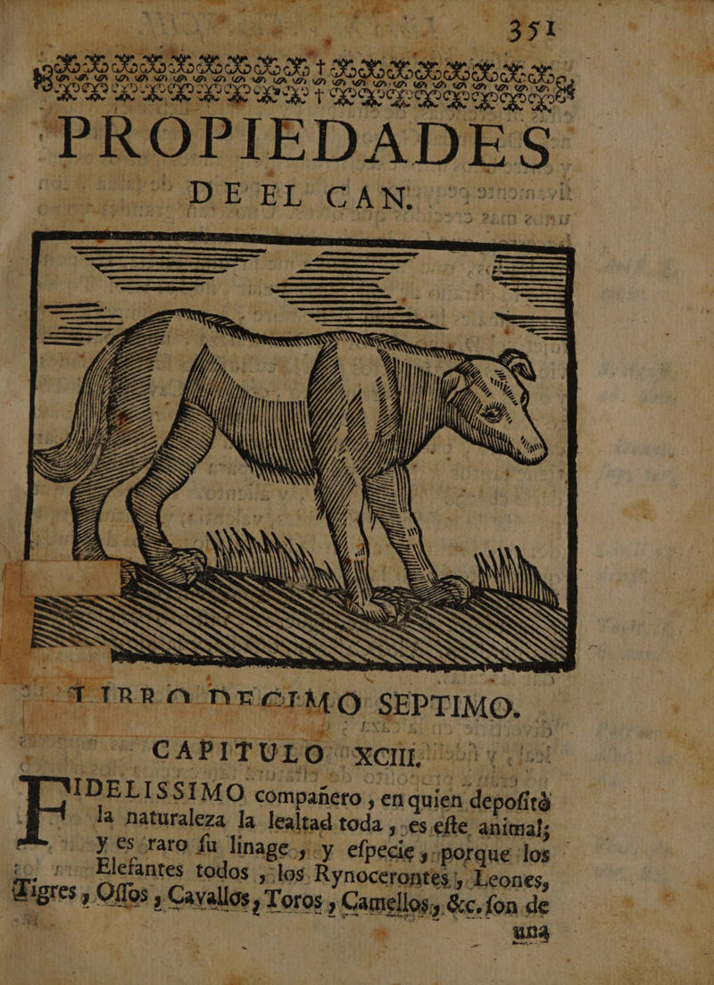 y E ps RO Lee] YD DEDICA DD PROPIEDADE A ¿ .. e, ¿  o A SA e S | = e. ¿ , S&gt; E : - z md. A DN ó ] ¿ ; ; De ADA d EA p EY de A o ' E » ne E » ae h 4 ee ey het) N e A 5? j A ; Cs y Pie ; a - PIDO PILAS 5 - dl . e : -... JE yes yA Er e 1 m7 y ” RS 3 TAR e. &gt; » - pH TRR-O DECIMO SEPTIMO VA IEA E ER ; h y 58 Y de 97 igres y Offos y Cavallos , Toros , Camellos, Sec, fon de