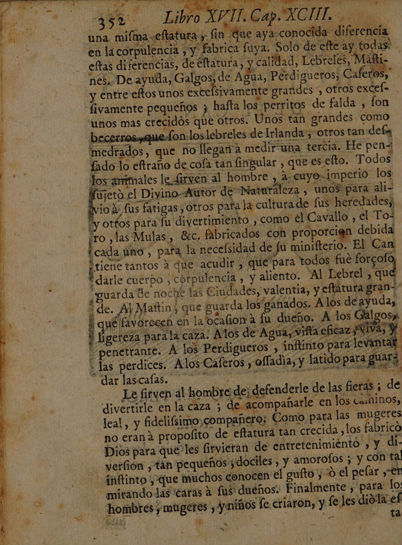 “penetrante. A] - las perdices. Allos Caferos , 0 uk Al lea! y fidelifsimo, compañero; ' Dios para que'les firvieran de e é hombres y, múgeres ,$ niños fe.criarón, y fe les diola ef Es ; de ' e : 6 á 7 y Y . A ¡d y ta )