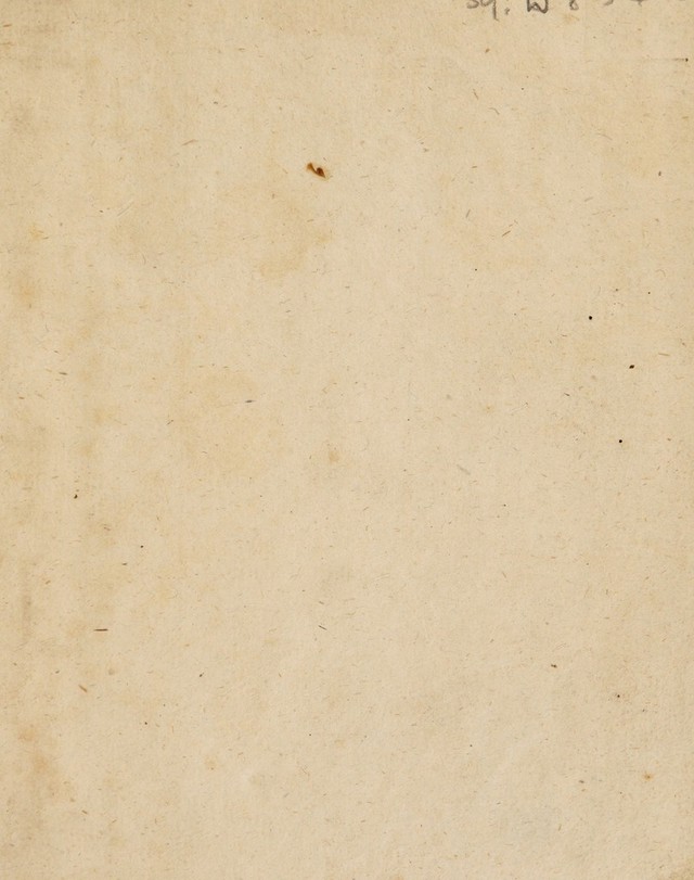 digitised image 3
