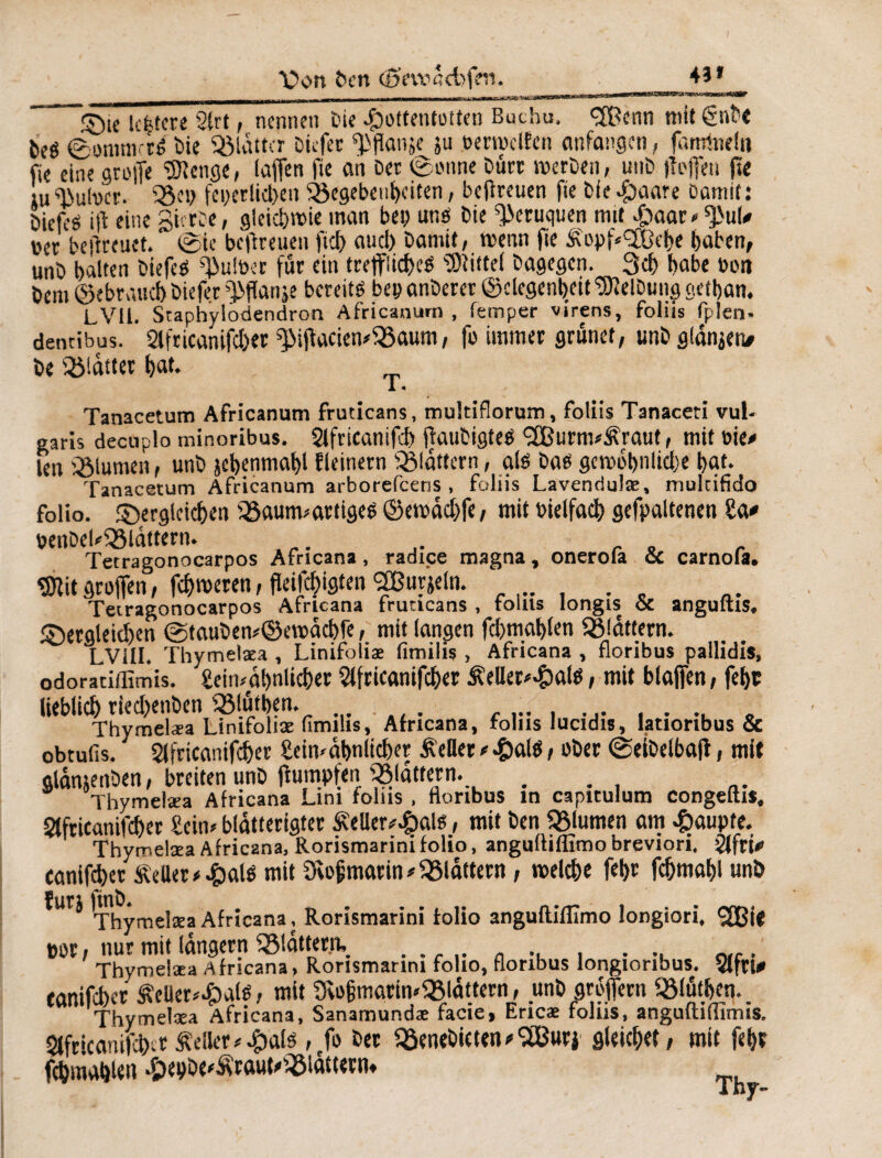 X\ni ben (ßewacbfm. 4î* ®ie Untere 2(ct, nennen Die Hottentotten Buchu, <2Benn mit €nbe fceô ©onum-fé Die Glatter Diefer ‘Pflanje ju berwclîen anfangen, famine!« fie eine greffe SJlenge, laffen fie an Der @onne Dürr werben, unD jteffen ftc [uPulver. Geb feierlichen Gegebenheiten, beflreuen fie Die Haare Damit: Diefeé iff eine giorDe, gleichwie man bep uné Die ^eruquen mit Haar « ^u!# toer bejïreuet. ©le beflreuen ftd) aucl) Damit, wenn fie £opf*<ÏOehe haben, unD halten Diefeé Quitter für ein treffiid>eë Mittel Dagegen. 3$ habe bon Dem (gebrauch Diefer g>flanje bereits bep anDerer ©clegenheit Reibung gethan. LVü. Staphylodendron Africanum , femper virens, foliis fplen- denribus. Slfricanifchet ^iffaciemGaum, fo immer grünet, unD glanjen# De Glatter hat. Tanacetum Africanum fruticans, multiflorum, foliis Tanaceti vul¬ garis decuplo minoribus. Slfricanifcb ffauDigteö <2Burm#Äraut, mit bie* len Glumen, unD jehenmahl fleinern Glattem, als Das gewöhnliche hat. Tanacetum Africanum arborefceris , foliis Lavendulæ, multifido folio, dergleichen Gaum--artigeé ©ewachfe, mit bielfach gefpaltenen ha# benDeUGldttern. Tetragonocarpos Africana , radice magna, onerofa ct carnofa. tDlit groffen, fehleren, fleifchigten SBurjeln. . s Tetragonocarpos Africana fruticans , rolus longis oc anguius. deraleichen ©tauben*©ewdchfe, mit langen fchmahlen Glattem. LVill. Thymelæa , Linifoliæ fimilis , Africana , floribus pallidis, odoraciffimis. £eiwdhnlic&er ?lfricftnifc&er Äellet'Hate, mit blaffen, fehr lieblich ried)enDen Gfüthen. ... .... . Thymelæa Linifoliæ (îmihs, Africana, foins lucidis, lationbus & obtulls. Slfricanifdher Seiivghnltcher Heller * Halé / ober ©eiDelbaff, mit glanjenDen, breiten unD ffumpfen Glattem. ... a. Thymelæa Africana Lim foins . floribus m capitulum congdtis, Stfricanifdher £eiw blâtterigter Sheller*Hal$, mit Den Glumen am Haupte. Thymelæa Africana, Rorismarini folio, angultiffimo breviori, 2Jfri* ccmifcber Heller*Halé mit Ovojjmarin* Glattem, welche fehr fchmahl unö furj |m^ ejjea ^{r;cana t Rorismarini folio angufliflimo longiori, Sfßif bor, nur mit langem Glatter«, . Thymelæa Africana, Rorismarini folio, floribus longionbus. Sffru mnifeber £cUer*Halé, mit SRojsmatiwGlattem, unD groffern Glüthen.. Thymelæa Africana, Sanamundæ facie, Eric* foliis, anguftiffimis. 2ffricani|chT Heller#Halé , fo Der GeneöictenoSBurj gleichet, mit fehr fchuiahUn nepDe'Âraut'Glâtcertw Iny-