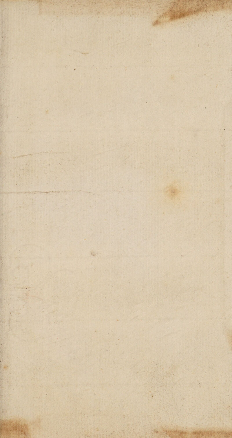 f \ i « J - * ’ ' * ■> ■ s . : . . • - '• • - <i