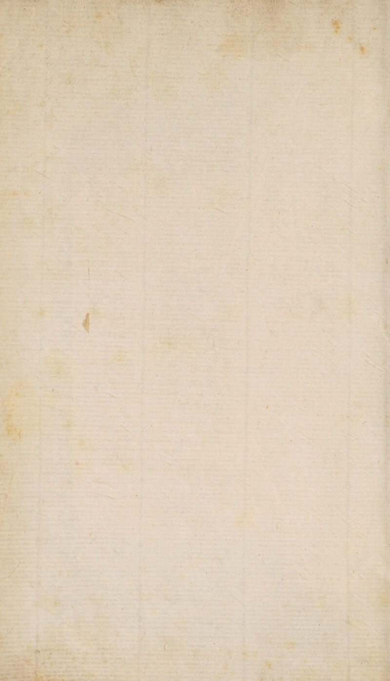 ?■. • - . .. ' ■ ■ * ■■■ . 'ft . ■ W -ft.I■ .. . ’ • •’ V ■' . . -v' -V ' p • • - / . * / , # i U ■ I (. '