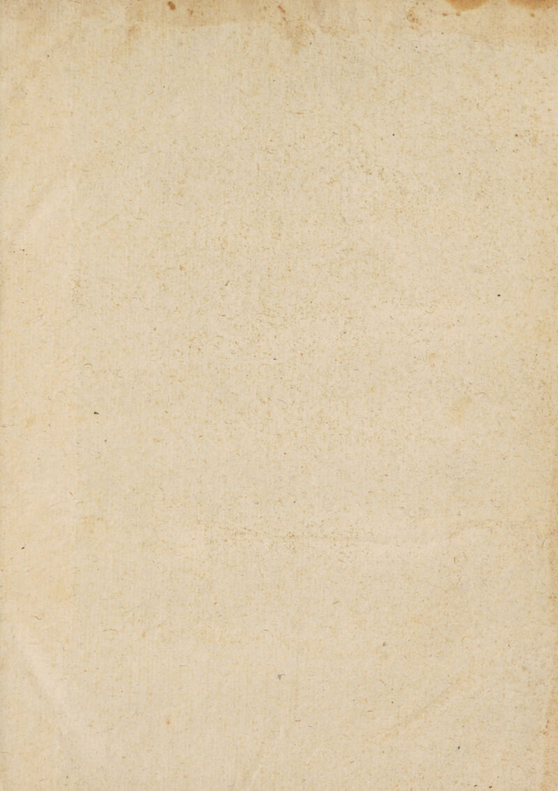 4 % \ X \ T s • t * S ( •k