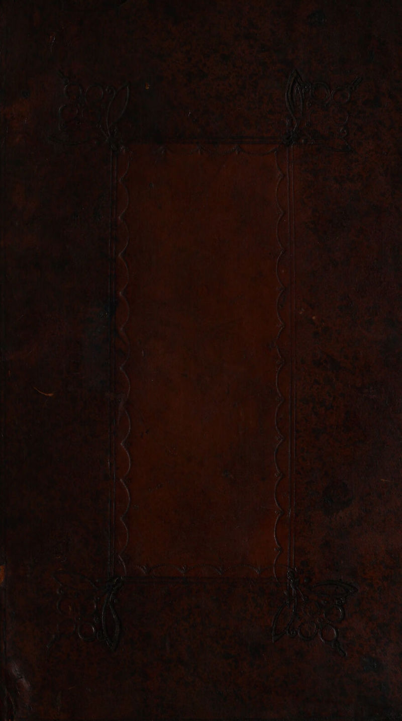 No text description is available for this image