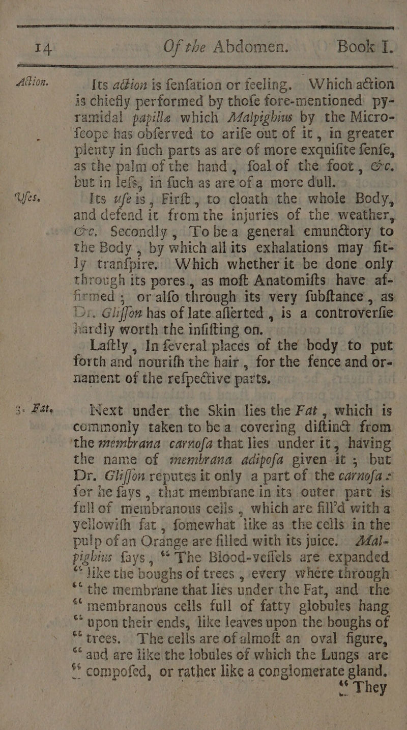 Ues, 3. Pate Of the Abdomen. Book TI. [ts adion is fenfation or feeling. Which aétion is chiefly performed by thofe fore-mentioned py- ramidal papille which A4alpighius by the Micro- plenty in fuch parts as are of more exquifite fenfe, as the palm of the hand, foalof the foot, ec. but in lefs, in fuch as areof.a more dull. Its ufeis, Firft, to cloath the whole Body, and detend ic fromthe injuries of the weather, ce. Secondly, Tobea general emunctory to the Body , by which all its exhalations may fit- Jy tranfpire: Which whether it be done only — through its pores, as moft Anatomifts have af- firmed; oralfo through its very fubftance , as or. Gliffon has of late.aflerted , is a controverfie nardly worth the infifting on. Laftly, In feveral places of the body to put forth and nourifh the hair , for the fence and or- nament of the refpective parts. ext under the Skin lies the Fat , which is commonly taken to bea covering diftina from the name of membrana adipofa given it ; but Dr. Gliffon reputes it only a part of the carnofa ~ for he fays , that membrane in its outer part is follof membranous cells , which are filld witha | yellowith fat , fomewhat itke as the cells in the pightus fays , ** The Blood-veflels aré expanded * like the boughs of trees , every where through ““ the membrane that lies underthe Fat, and the ““ membranous cells full of fatty globules hang ** upon their ends, like leaves upon the boughs of “trees. Thecells are of almoft.an oval figure, “ and are like the lobules of which the Lungs are’ * compofed, or rather like a conglomerate gland, GO AE SS eee