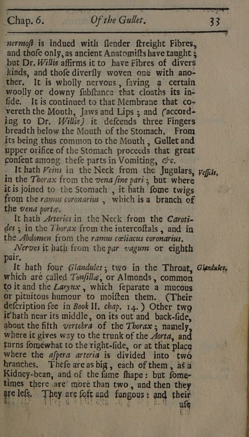 nevmoft is indued with flender ftreight Fibres, and thofe only, as ancient Anatomifts have taught ¢ but Dr, Wills affirms it to have Fibres of divers Kinds, and thofe diverfly woven one with ano- ther. It is wholly nervous, faving a certain woolly or downy fubftance that cloaths its in- fide. Itis continued to that Membrane that co- vereth the Mouth, Jaws and Lips ; and (accord- ing to Dr. Willis) it defcends three Fingers breadth below the Mouth of the Stomach. From its being thus common to the Mouth , Gullet and upper orifice of the Stomach proceeds that great confent among thefe parts in Vomiting, cc. It hath Vems in the Neck from the Jugulars, yegess, in the Thorax from the wena fine pari; but where ‘ it is joined to the Stomach , it hath fome twigs from the ramus coronarius , whichisa branch of the vena porte, It hath Arteries in the Neck from the Caroti- des ; in the 7horax from the intercoftals , and in the Abdomen from the ramus cceliacus coronarius. WVerves it hath from the par vagum or eighth air, a | | P It hath four Glandules; two in the Throat, Giendukes, which are called Tonfille, or Almonds, common a to it and the Larynx , which feparate a mucous , Or pituitous humour to moiften them. (Their : defcription fee in Book II. chap. 14.) Other twg it hath near its middle, on its out and back-fide, about the fifth vertebra of the Thorax; namely where it gives way to the trunk of the orta, and turns foméwhat to the right-fide, or at that place where the afpera arteria is divided into two branches. heéfe areas big, each of them, aga Kidney-bean, and of the fame fhape: but fome- times there .are’ more than two, and then they are les. They are foft and fungous: and their Bie UGG Ee Be ate ( me