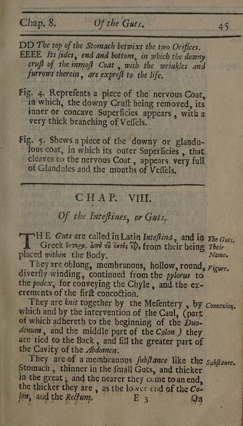 Chap. 8, Of the Guts, ae | DD The top of the Stomach betwixt the two Orifices. EEEE ‘Its fides, end and bottom, in which the downy cruft of the inmoft Coat , with the wrinkles and furrows therein, are expreft to the life. Fig. 4. Reprefents a piece of the nervous Coat, ~-in'which, the downy Cruift being removed, its inner or concave Superficies appears, witha very thick branching of Veflels. Fig. 5. Shews a piece of the downy or glandu- lous coat, in which its outer Superficies , that cleaves to the nervous Coat , appears very full of Glandules and the mouths of Veflels, Cr AP. VEU, Of the Inteftines, or Guts, HE Guts are called in Latin Inteftina, and in rte Guts, BA Greek tyres, aad v% evr’s 1D, from their being Their — placed within the Body, : gh They are oblong, membranous, hollow, round, Figure. _ Giverfly winding, continued from the pylorus to the podex, for conveying the Chyle, and the ex- crements of the firft concoétion. : They are knit together by the Mefentery , by Connexion. which and by the intervention of the Caul, (part a _ of which adhereth to the beginning of the Duo- denum , and the middle part of the Colon) they are tied to the Back , and fill the greater part of the Cavity of the Abdomen, antes, They are of amembranous /ubjtance like the Subltance. _ Stomach, thinner in the fmall Guts, and thicker © in the great ; and the nearer they come toan end, the thicker they are , as the lower end of the Co- dn, and the Refam, © °° EB 3 © — Qa ! |