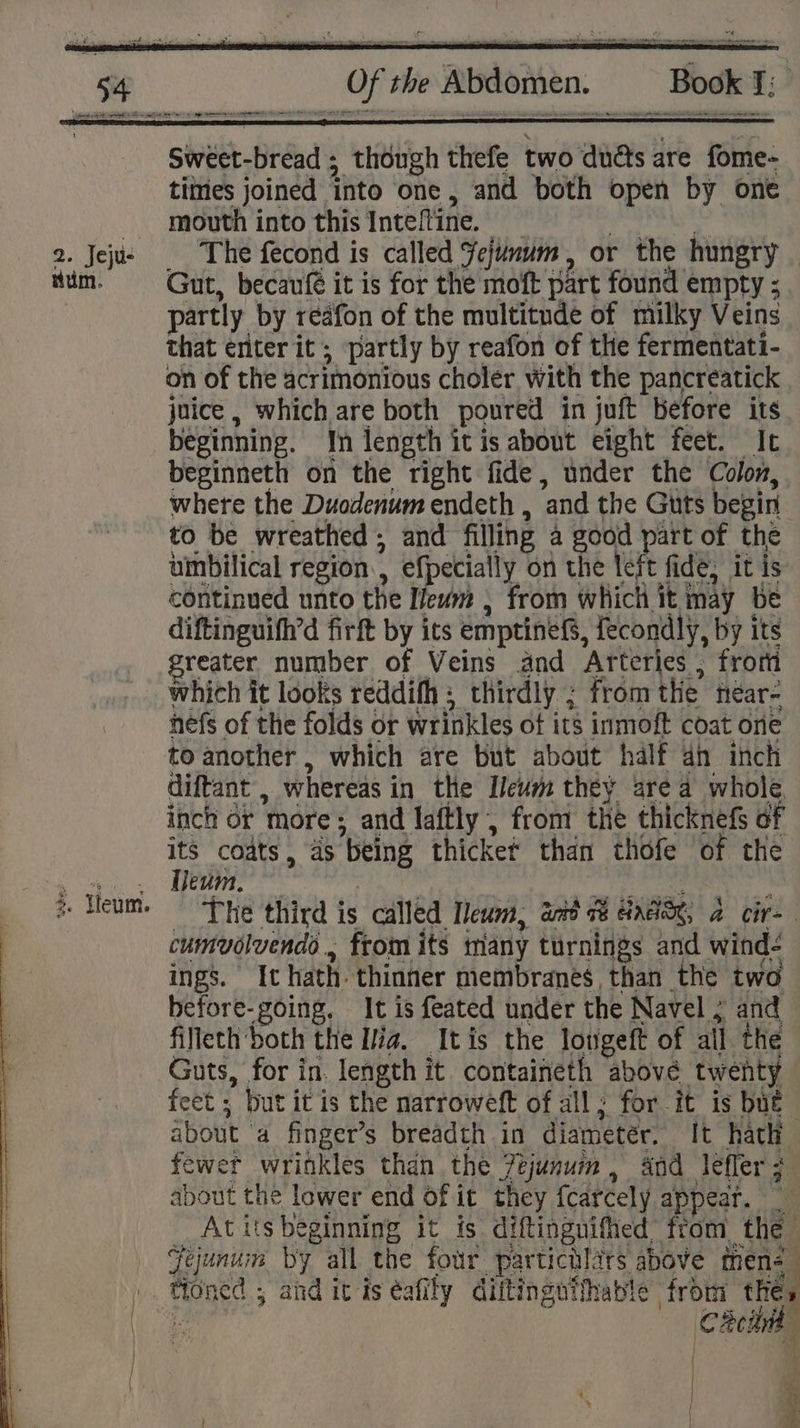 Book fT: ate tema tee yee + | 5% Of the Abdomen. Sweet-bread ; though thefe two duds are fome- times joined into one, and both open by one mouth into this Inteftine. Besa ba 2. Jeju- | The fecond is called Fejunum, or the hungry tim. Gut, becaufé it is for the moft part found empty ; partly by reafon of the multitude of milky Veins that eriter it; partly by reafon of the fermentati- on of the acrimonious choler with the pancreatick juice , which are both poured in juft before its beginning. In length it is about eight feet. It beginneth on the right fide, under the Colon, where the Duodenum endeth , and the Guts begin to be wreathed ; and filling a good part of the umbilical region, efpecially on the left fide, it is continued unto the [ew , from which it may be diftinguifh’d firft by its emptiness, fecondly, by its greater number of Veins and Arteries , from which it looks reddifh ; thirdly ; fromthe near- nefs of the folds or wrinkles of its inmoft coat one to another , which are but about half an inch diftant , whereas in the Ileum they area whole. inch or more; and laftly , from the thicknefs of its coats, as being thicket than thofe of the e Heum. “The third is called Meum, ait s8 Gnas, a cir- cumvolvendo., from its many turnings and wind- ings. It hath thinner membranes than the two before-going, It is feated under the Navel ; and filleth both the Ilia. Itis the longeft of all the Guts, for in. length it containeth above twenty feet ; but it is the narroweft of all; for it is bue about a finger’s breadth in diametér. It hath fewer wrinkles than the 7ejunum, and lefler about the lower end of it they fcarcely appear. | At its beginning it is diftinguified from the Fejunum by all the four partichlirs above mens _ toned ; and it is éafily diftingutihable from thes | . , ES ah Hae Cacti