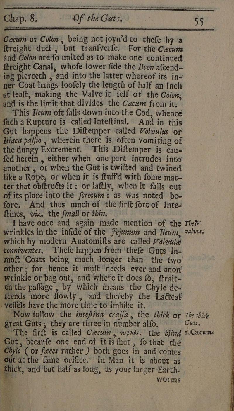 pieebdawtbltebaekedrosavancu ee en Caoum or Colon, being not joyn’d to thefe by a ftreight duct , but tranfverfe. For the Cacum and-Colon are fo united as to make one continued ftreight Canal, whofe lower fide the Icon afcend- ing pierceth , and into the latter whereof its in- ner Coat hangs loofely the length of half an Inch at leaft, making the Valve it felf of the Colon, and is the limit that divides the Caecum from it; This I/eum oft falls down into the Cod, whence fach a Rupture is called Inteftinal. And in this Gut happens the Diftemper called Voloulus or Hiaca paffio, wherein there is often vomiting of the dungy Excrement. This Diftemper is cav- fed herein , either when one part intrudes into another , or when the Gut is twifted and twined like a Rope, or when it is ftuffd with fome mat- ter that obftructs ic: or laftly, when it falls out of its place into the fcrotum: as was noted be- fore. And thus much of ‘the firft fort of Inte- ftines, wiz. the fmall or thin. I have once and again made mention of the The wrinkles in the infide of the Fejunum and Heum, valves« which by modern Anatomifts are called Valvule tonniventes. Thefe happen’ from thefe Guts ‘in- ‘moft ‘Coats being much Jongér than the two other; for hence it muff needs ever and anon’ wrinkle or bag out, and where it does fo, ftrait- en the paflage , by which means the Chyle de- ‘feends more flowly , and thereby the Lacteal -veffels have the more time to imbibe it. | - Now follow the inteftma ecraffa, the thick or The thice ‘great Guts; they are three in number alfo. Guts, The firft is called Caecum, weaty, the blind 1.Cacums Gut, becaufe one end of itis fhut, fothat che Chyle ( or faeces rather ) both goes in and comes Out at the fame orifice. In Man it is about as __ thick, and but half-as long, as your larger Earth- ; worms