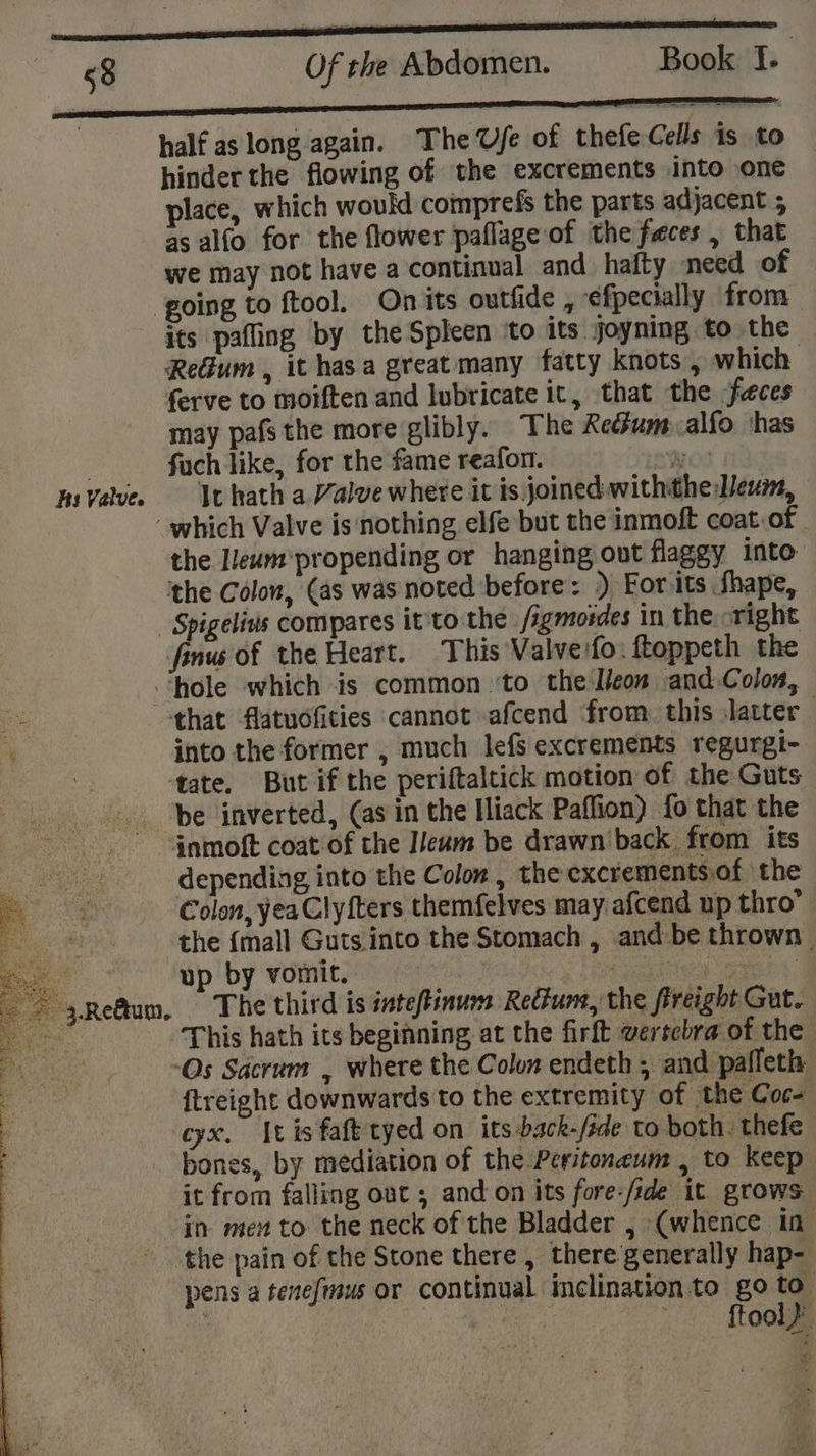 nn ana half as long again. The fe of thefeCells is to hinderthe flowing of the excrements into one place, which would comprefs the parts adjacent 5 as alfo for the flower paflage of the feces , that we may not have a continual and hafty need of ‘going to ftool. Oniits outfide , efpecially from its pafling by the Spleen ‘to its joyning to the Redum , it hasa great many fatty knots , which ferve to moiften and lubricate it, that the feces may pafsthe more glibly. The Rechum alfo ‘has : fach like, for the fame reafor. won BsYalve. ‘Iwhath a Valvewhere it isjoined withthe Meum, “which Valve is nothing elfe but the inmoft coat of the Ileum'propending or hanging out flaggy into ‘the Colon, (as was noted before: ) For its fhape, _ Spigeliss compares it'to the figmordes in the «right finus of the Heart. This Valve'fo. ftoppeth the ‘hole which is common ‘to the Icon and Colon, that flatudfities cannot afcend from. this latter into the former , much lefs excrements regurgi- tate. But if the periftaltick motion of the Guts be inverted, (as in the Hiack Paffion) {fo that the inmoft coat of the I/eam be drawn'back from its depending into the Colon , the excrements.of the Colon, yea Clyfters themfelves may afcend up thro’ the {mall Guts into the Stomach , and be thrown up by vomit. ie} oe per The third is inteftinum Recfunt, the fireight Gut. This hath its begifning, at the firft wersebra of the -Os Sacrum , where the Colon endeth ; and pafleth {treight downwards to the extremity of the Coc- cyx, [tis faft tyed on its back-/ide to both. thefe bones, by mediation of the Peritoneum , to keep it from falling out ; and on its fore-/ide it. grows in men to the neck of the Bladder , (whence in _ the pain of the Stone there, there generally hap- pens a tenefmeus or continual inclination to go to ae ~— ftool®
