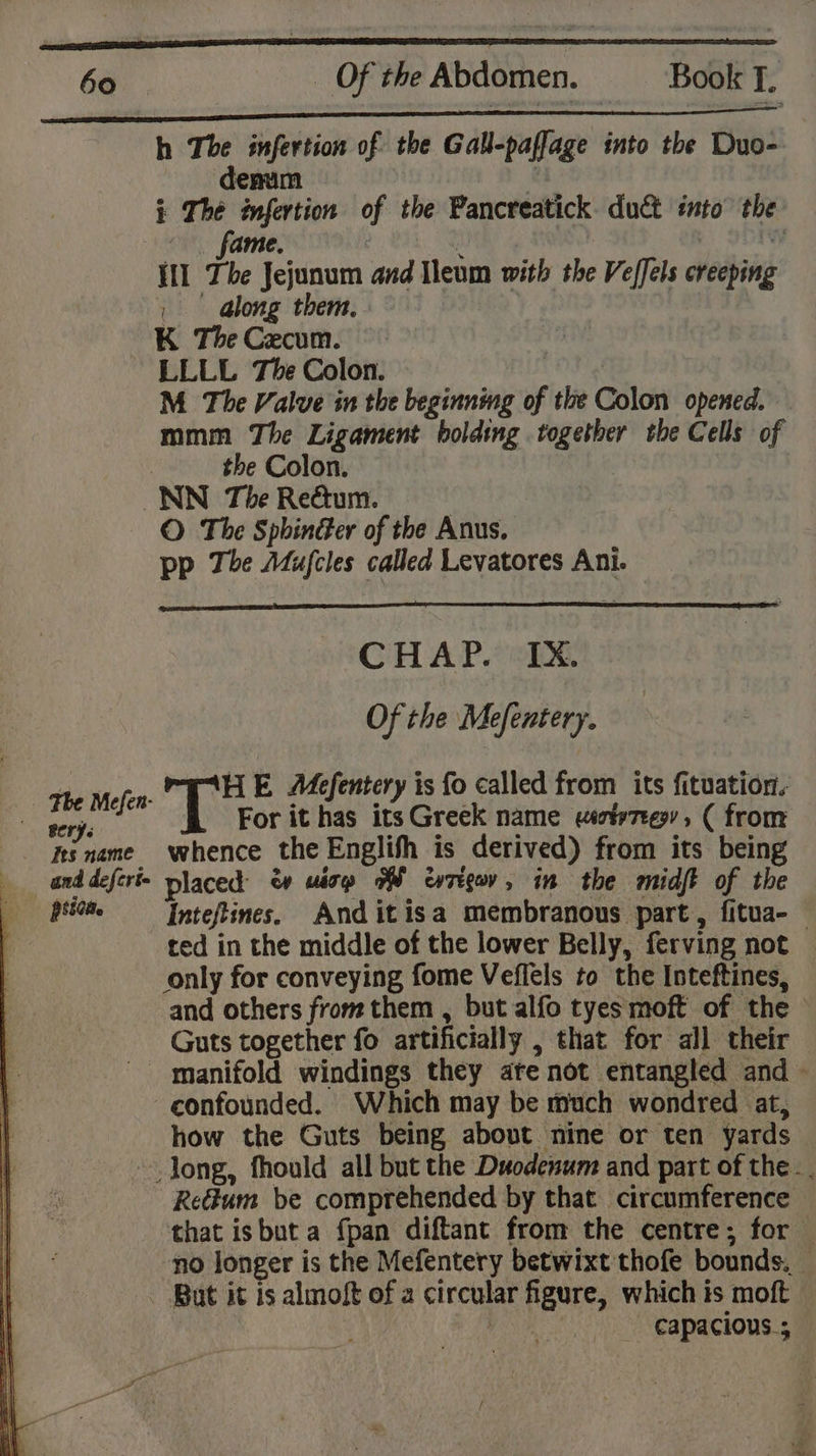 h The infertion of the Gall-paffage into the Duo- enum : i The infertion of the Pancreatick. duct ato the fame. ¢ , Wy {ll The Jejunum and Ileum with the Veffels creeping , @long them. ) K TheCecum. ; LLLL The Colon. COT M The Valve in the beginning of the Colon opened. mmm The Ligament bolding together the Cells of the Colon. The Mefen- and defcri- piston. © The Sphinder of the Anus. pp The Mujcles called Levatores Ani. CHAP. IX. Of the Mefentery. HE Mefentery is fo called from its fituatior. For it has itsGreek name eétv7eev, ( from whence the Englith is derived) from its being placed &amp; wisp PW cortgev, im the midft of the Inteftines. Anditisa membranous part, fitua-— ted in the middle of the lower Belly, ferving not only for conveying fome Veflels to the Inteftines, and others from them , but alfo tyes moft of the &gt; Guts together fo artificially , that for all their — how the Guts being about nine or ten yards Retum be comprehended by that circumference that isbut a fpan diftant from the centre; for — no longer is the Mefentery betwixt thofe bounds. — - Capacious.;