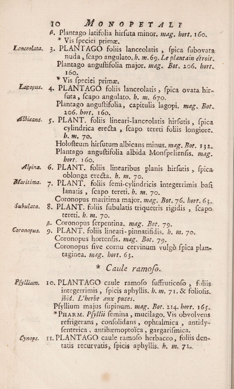 JLcnceolata* Lagopus. Albicans-- Alpina* Hlaritima. Subulata. Coronopus. f\'fyllium. Cynops. IO MoNOVET ALI &amp; Plantago latifolia hirfuta minor, mag. bort. i 60. * Vis fpeciei primas. 3. PLANTAGO foliis lanceoktis , fpica fubovata nuda 5 (capo angulato. b. m. 69. Le piant aln etroit. Plantago angufiifolia major, mag. Bot. i 06. /wr. 160. * Vis fpeciei primas. 4. PLANTA.GO foliis lanceolatis * fpica ovata hir¬ futa , fcapo angulato, b. m. 670. Plantago a-nguftifolia, capitulis lagopi. mag. 206. /wf. 160. 5. PLANTA foliis lineari-lanceolatis hirfutis, fpica cylindrica e.redba > fcapo tereti foliis longiore. h. w. 70. Holofteum liirfutum albicans minus, mag. Bot. 13 2. Plantago anguftifolia albida Monfpeiienfs. mag. bort. 160. 6. PLANT. foliis linearibus pl anis hirfutis , fpica oblonga ere da. h. m. 70. 7. PLANi. foliis femi-cylindricis integerrimis bafi- lanatis , fcapo tereti, b. m. 70. Coronopus maritima major, mag. Bot. 76. bort. 6^ 8. PLANT. foliis fibulatis triquetris rigidis 3 fcapo tereti. /;. m. 70. /S. Coronopus ferpentina. mag. Bot. 79. 5?* PLANT. foliis lineari-pinnatifidis. b. m. 70. Coronopus hortenfis. mag. Bot. 79. Coronopus fve cornu cervinum vulgo fpica pkn«. taginea. fwag. bort. 63. * Caule ramofo.. xo. PLANTAGO caule ramofo fuffruticofb , foliis, integerrimis, fpscis a phy liis. b. m. 71. &amp; foliolis. ibld. Uherbe aux puces. Pfyllium majus fupinum. 214. bort. \6pa *Pharm. Pfyllii femina , mucilago.. Vis obvolvens refrigerans , confolidans , ophtalmica , antidy^ fenterica > antibaemoptoica , gargarifmica. it.PLANTAGO caule ramofo herbaceo, foliis den^ tatis recurvatis3 fpiqis aphyllis., ba m» 71*.