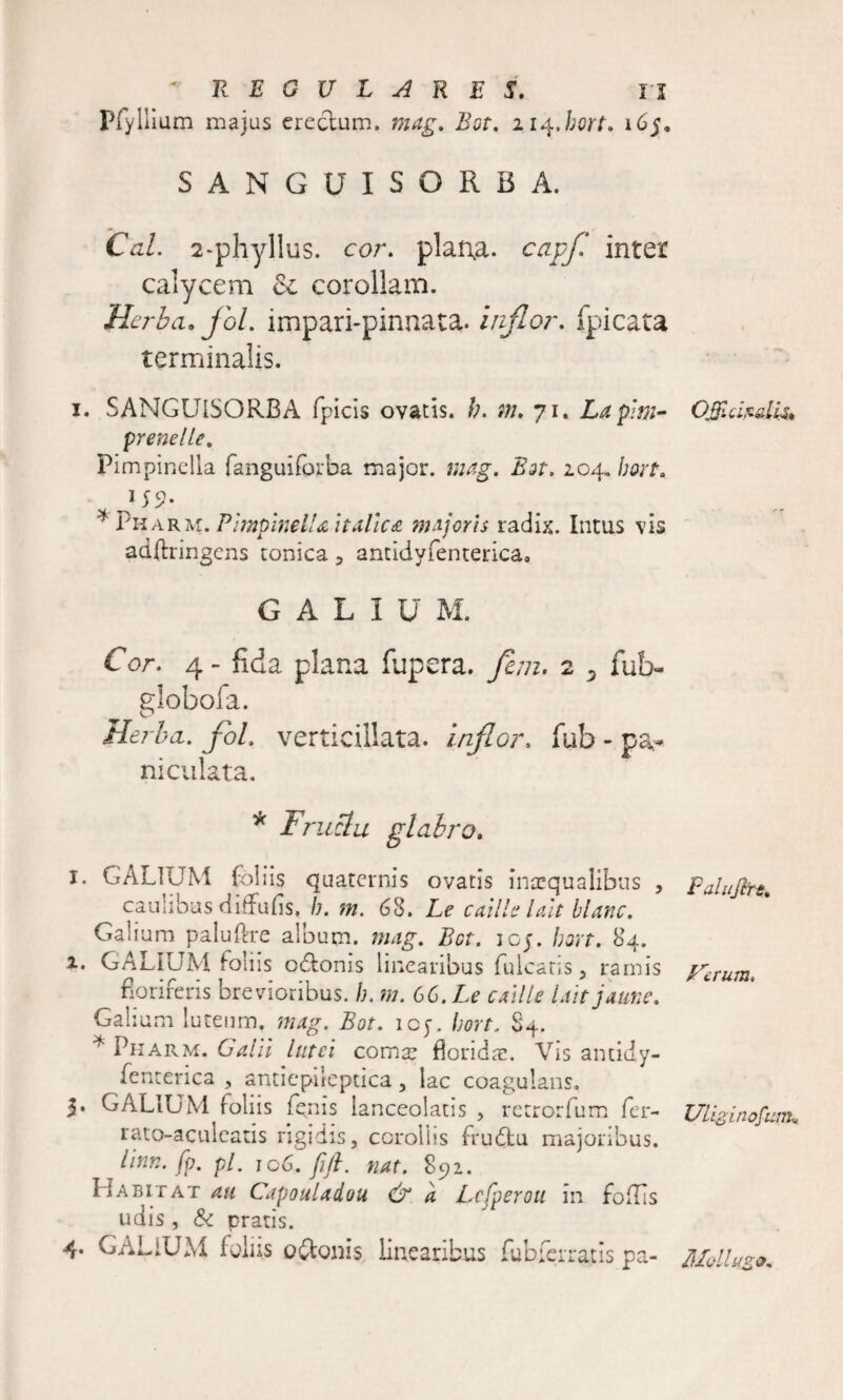 Pfyliium maius erectum. mag. Bot. i i^.hort. 165. SANGUISORBA. Cal. 2-phyllus. cor. plana. capfl inter calycem &amp; corollam. Herba, jol. impari-pinnata. inflor. fpicata terminalis. 1. SANGUISORBA (picis ovatis, b. m. 71. Lapitn- prenelle. Pimpinella fanguiforba major. 204. bort. U9- * Pharm. Pimpinella Italica majoris radix. Intus vis adftringcns conica , antidyfenterica, G A L I U M, Cor. 4 - fida plana fupera. y?//z. 2 5 fub- globoia. Herba,. foL verticillata. inflor, fub - pa* niculata. x Fructu glabro. 1. G ALIUM foliis quaternis ovatis inaequalibus , caulibus diflruds, /;. m. 68. Le cnilis luit blanc. Galium paluftre album, mag. Bct. ioj. fmt. 84. x. GALIUM foliis octonis linearibus fuic aris 5 ramis floriferis brevioribus, h. m. 66. Le caille laitjaune. Galium luteum, mag. Bot. icy. bort. 84. * Pharm. Calli lutei comx floridae. Vis antidy- fenterica , antiepileptica , lac coagulans. 3* GALIUM foliis fpnis ianceolatis , recrorfum fer- rato-aculcacis rigidis, corollis frudtu majoribus. llnn. fp. pl, 106. fift. nat. 892. Habitat au Capouladou &amp; a Lcfperoti in fodis udis, &amp; pratis. 4. GALIUM foliis octonis linearibus fubferrajtis pa- Ojp.ciz.ali3* Palujlrt. Lrcrum. Uliginofum, HIvllugQn