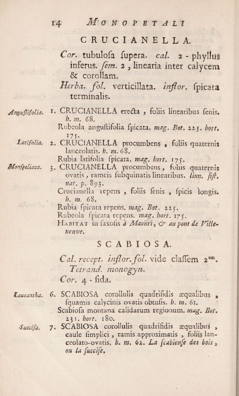 *4 Angufdfolia. Latifolia. Monfpeliaca. Lcucantha. Succifa. M 0 tf 0 P E T J L t CRUCIANELLA. Ckr. tubulofa fupera. cal. 2 - pliyllug inferus. /2;?z. 2 ^ linearia inter calycem &amp; corollam. Herba. flol. verticilkta. inflor, fpicata terminalis. 1. CRUCIANELLA cre&amp;a y Foliis linearibus fenis* b. m. 68. Rubeola anguftifolia fpicata. mag. Bot. 225. bort* m- 2. CRUCIANELLA procumbens 3 foliis quaternis lanceolatis. h. m. 68. Rubia latifolia fpicata. mag. hort. 175. 3. CRUCIANELLA procumbens, foliis quaternis ovatis, rameis fubquinatis linearibus, linn. fijh nat. p. 893. Crucianella repens , foliis fenis , fpicis longis. h. m. 68. Rubia fpicata repens, mag. Bot. 225. Rubeola fpicata repens, mag. bort. 175. Habitat in faxofis a Maomi, C7* aupont de VUU» ne uve. SCABIOSA. Cal. recept. inflor. foL vide claflem a3nL Tetrand. moriogyn. Cor. 4 ' fida. 6. SCABIOSA corollulls quadrifidis aequalibus 9 fquamis calycinis ovatis obtufis. h. m. 61. Scabiofa montana calidarum regionum. ifrf. 231. frsrr. 180. 7» SCABIOSA corollulls quadrifidis squalibus , caule fimplici , ramis approximatis , foliis lan- ceolato-ovacis, /;. m. 62. £4 [c abietife des bois s mi U fuccife.