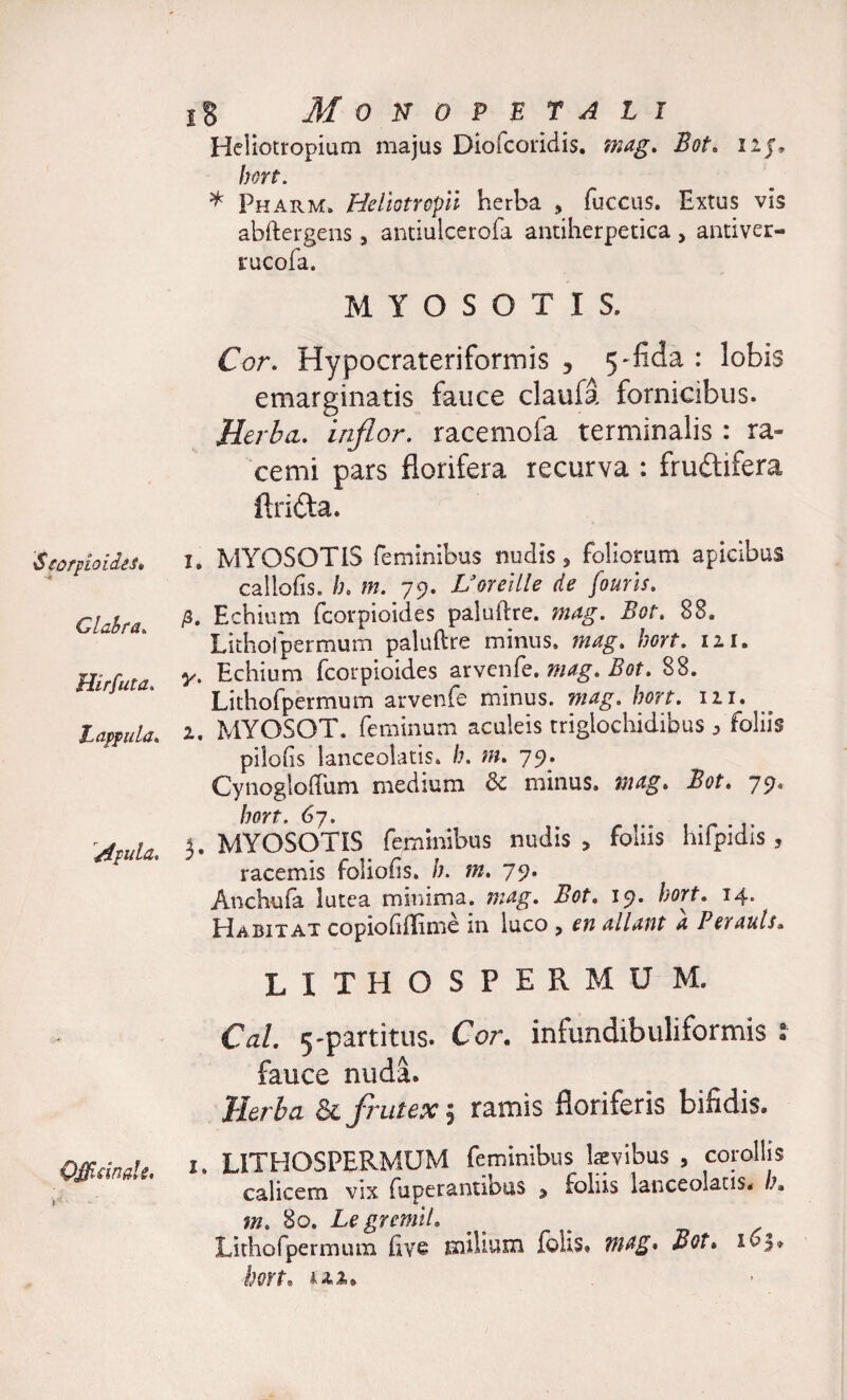 $ (OfpioideS• Glabra» Hirfut a. Lappula» Apula, Qjfirinak' iS Monopetali Heliotropium majus Diofcoridis. Bot. 12 J, /nrf. * Pharm, Hellotrcpll herba , fuccus. Extus vis abftergens , antiulcerofa antiherpetica, antiver- rucofa. MYOSOTIS, Cor. Hypocrateriformis 5 5 * fida : lobis emarginatis fauce claufa fornicibus. Herba. i/z/Zor. racemofa terminalis : ra¬ cemi pars florifera recurva : fruftifera flritta. 1. MYOSOTIS feminibus nudis , foliorum apicibus caliofis. m. 79. Uoreille de fouris. p. Echium fcorpioides paludre. mag. Bot. 88. Lithofpermum paluftre minus, mag, hort. 121. y, Echium fcorpioides arvenfe. mag, Bot, 88. Lithofpermum arvenfe minus, mag, hort. 111. 2. MYOSOT. feminum aculeis triglochidibus ^ foliis pilofs lanceolatis, h. m. 79. Cynogloffum medium &amp; minus, mag. Bot. 79, Wf. 67. 3. MYOSOTIS feminibus nudis &gt; foliis hifpidis , racemis foliolis, b. m. 79. Anchufa lutea minima, mag. Bot, 19. hort. 14. Habitat copiofiffime in luco , a Perauls. LITHOSPERMU M. Czz/. 5'partitus. Cor. infundibuliformis « fauce nuda. Herba 81 frutex 1 ramis floriferis bifidis. 1 LITHOSPERMUM feminibus laevibus , corollis calicem vix fuperantibus , foliis lanceolacis. b. m. 80. Le gremii» Lithofpermum live milium folis. mag* Bot» 16$* hort. 122.