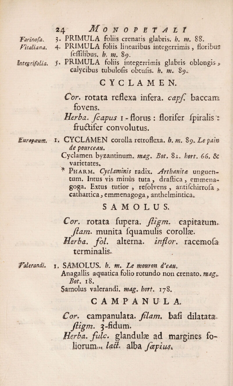 'Farinofa. 3. PRIMULA foliis crenatis glabris, h. m. 88. Fitaliana. 4* PRIMULA foliis linearibus integerrimis, floribus fefTilibus. h. m. 89. hugrifolia. 5» PRIMULA foliis integerrimis glabris oblongis &gt; calycibus tubulofis obtufls. h. m. 890 CYCLAMEN. Cor. rotata reflexa infera, capf. baccam fovens. Herba. jcapus 1 - florus : florifer ipiralis : frudifer convolutus. Eurogtzum. 1. CYCLAMEN corolla retroflexa, h. m. Sy.Lepain de pourceau. Cyclamen byzantinum. mag. Bot. 82. hort. 66. Sc varietates* * Pharm. Cyclaminis radix. Arthanita unguen¬ tum. Intus vis minus tuta , draftica , emmena- goga. Extus tutior 5 refolvens , antifchirrofa 9 cathardca^ emmenagoga, anthelmintica* SAMOLUS, Cor. rotata fupera. Jligm. capitatum,- Jiam. munita fquamulis corolke. Herba. Jol. alterna, inflor, racemofa terminalis, Tderandi. j. SAMOLUS. h. m. Le mouron d*eau. Anagallis aquatica folio rotundo non erenato. mag* Bot. 18. Samolus valerandi. mag. hort. 17S. CAMPANULA, Cor, campanulata. Jilam. bafl dilatata Jligm. 3-fidum. Herba, fulc. glandulae ad margines fo¬ liorum^ lall alba jkpius\