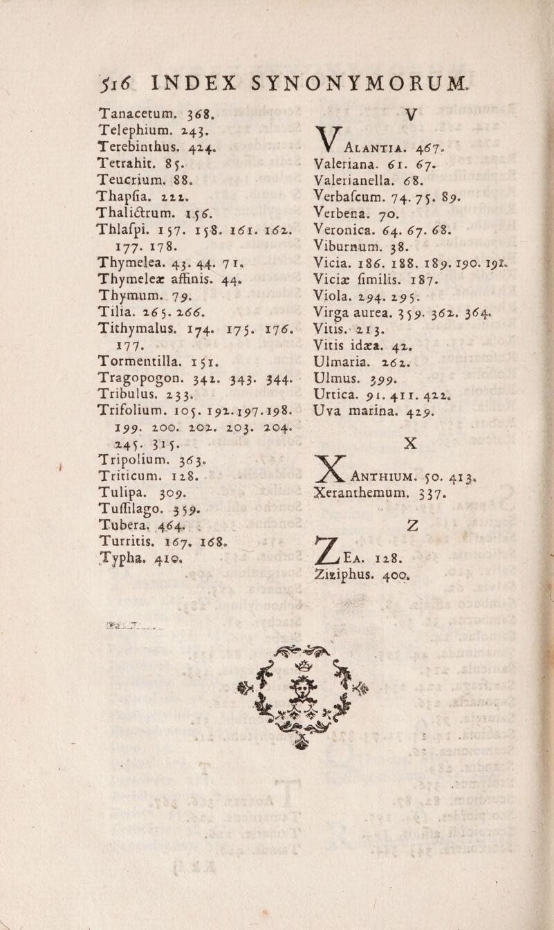 Tanacetum. 368. V Telephium. 143. Terebinthus. 4x4. VAlantia. 4157» Tetrahit. 85. Valeriana. 61. 6j. Teucrium. 88. Valerianella. 68. Thapfia. m. Verbafcum. 74. 75. 89. Thalidtrum. 156. Verbena. 70. Thlafpi. 157. 158. 161. 1 6x. Veronica. 64. 67. 68. 177. 178. Viburnum. 38. Thymelea. 43. 44. 71. Vicia. 186. 188. 189.190.192. Thymelex affinis. 44. Vicix fimilis. 187. Thymum. 79. Viola. Z94. 19 5. Tilia. 16 5. 7.66. Virga aurea. 359. 36Z. 364. Tithymalus. 174. 175. 17 6. Vitis, xi 3. 177. Vitis idxa. 4Z. Tormentilla. 151. Ulmaria. z6z. Tragopogon. 341. 343. 344. Ulmus. 399. Tribulus. 133. Urtica. 91. 411. 4x1, Trifolium. 105. 191.197.198. Uva marina. 4x9. 199. zoo. zox. Z03. X04. X45. 3.15. X Tripolium. 363.. Triticum. ix8. Y ^/V Anthium. 50. 413, Tulipa. 309. Xeranthemum. 337. Tuffilago. 359. Tubera. 464. Z Turritis. 167. 168. .Typha, 41©. Zea. 1x8. m__ Zisiphus. 400.