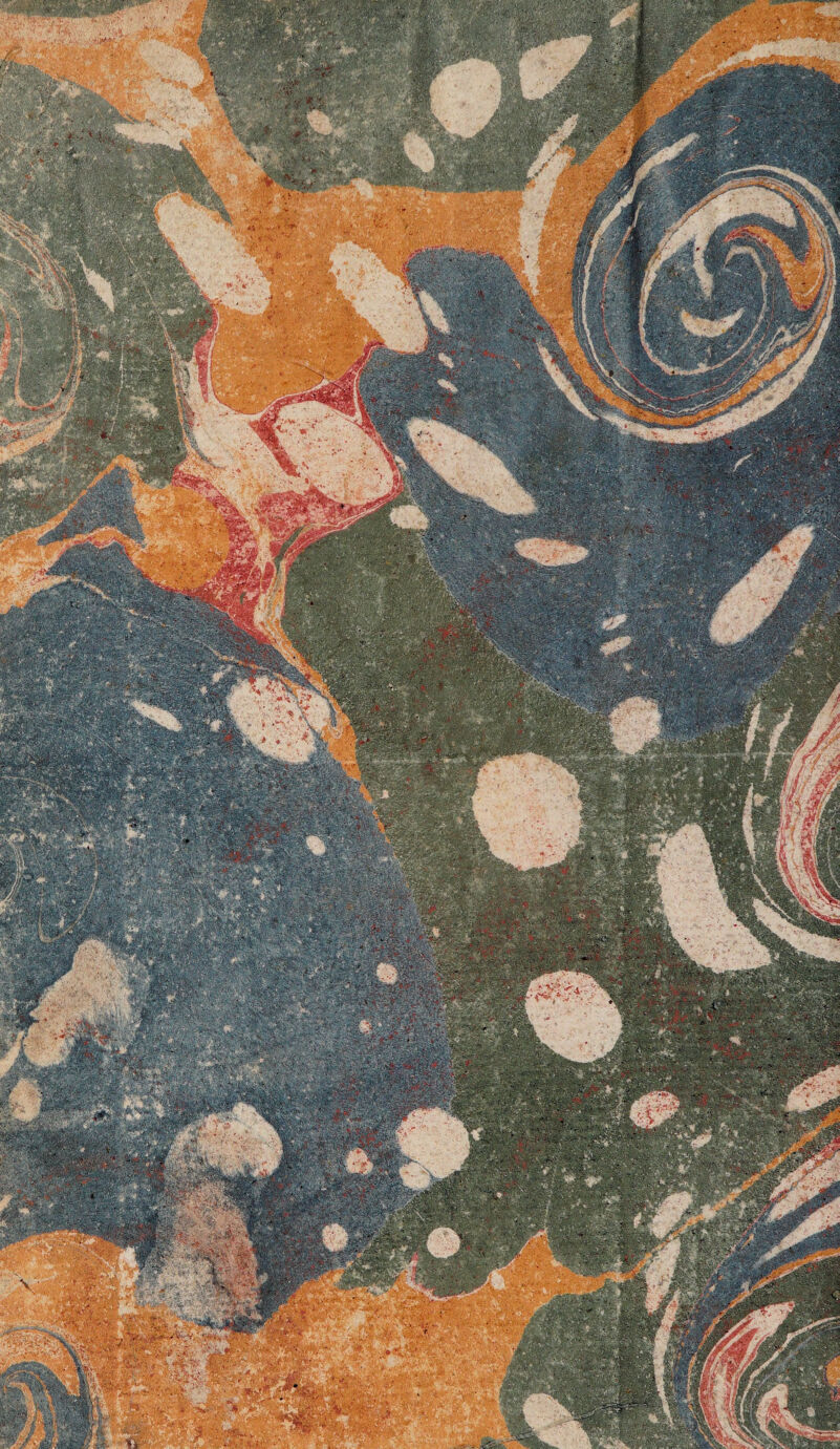 No text description is available for this image