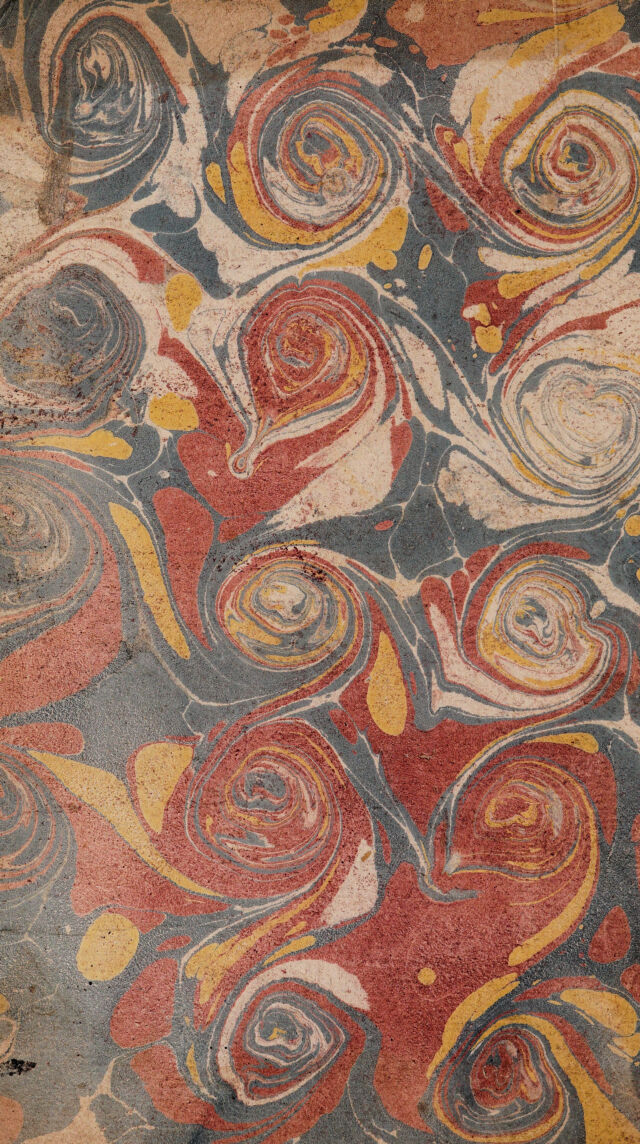 No text description is available for this image