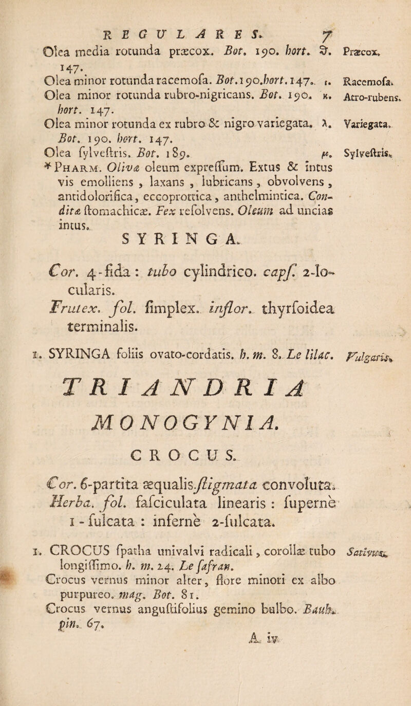 REGULARES* J Olea media rotunda prxcox. Bot. 190. hort. Praecox» 147. Olea minor rotundaracemofa. Bot.icfO.hort. 147». r. Eaccmofa. Olea minor rotunda rubro-nigricans. Bot. 190. k. Atro-rubens. hort. 147. Olea minor rotunda ex rubro &amp; nigro variegata. X. Variegata» Bot. 190. hort. 147. Olea fylveftris. Bot. 189» Sylveftrisv ^Pharm. Oliva oleum expreffum. Extus St intus vis emolliens , laxans , lubricans 5 obvolvens , antidoloriflca, eccoprottica 5 anthelmintica. Con¬ dita ftomachicae. Fex refolvens. Oleum, ad uncias intus. SYRINGA. Cor. 4-fida: tubo cylindrico. cafj: 2-lo- cularis. Frutex. fol. fimplex. inflor. thyrfoidea terminalis. 1. SYRINGA foliis ovato-cordatis. b. m. 8. Le Illae. Fulgam* TRIANDRI A M0N0GYN1A. CROCUS. Cor. 6-partita dequalisfHgmata. convoluta* Herba, fol. fafciculata linearis : fu perne 1 - fulcata : inferne 2-fulcata. 3. CROCUS fpatha univalvi radicali &gt; corollas tubo SatZvm* longi (limo. h. m. 24. Le fafran. Crocus vernus minor alter5 flore minori ex albo purpureo, mag. Bot. 8r. Crocus vernus anguftifolius gemino bulbo. B.aub* pin, 6j.