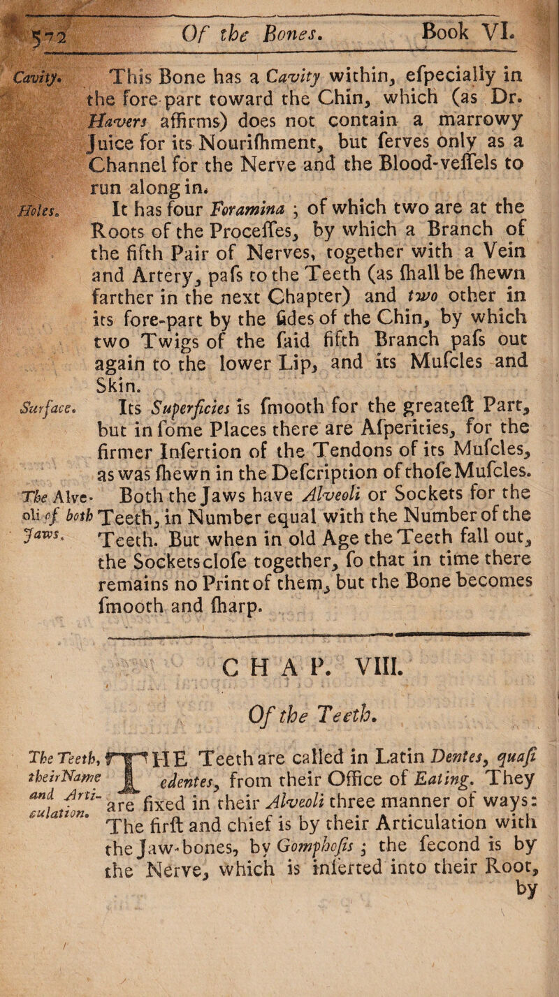 Cavity, This Bone has a Cavity within, efpecially in the fore part toward the Chin, which (as Dr. Havers affirms) does not contain a marrowy juice for its Nourifhment, but ferves only as a Channel for the Nerve and the Blood-veffels to run along in* Boles. It has four Foramina ; of which two are at the Roots of the Procelfes, by which a Branch of the fifth Pair of Nerves, together with a Vein and Artery, pafs to the Teeth (as (hall be fhewn farther in the next Chapter) and two other in its fore-part by the fides of the Chin, by which two Twigs of the faid fifth Branch pafs out again to the lower Lip* and its Mufcies and Skin. Surface. Its Superficies is fmooth for the greateft Part, but infome Places there are Afperities, for the firmer Infertion of the Tendons of its Mufcies, as was file wn in the Defcription of thofe Mufcies. The Alve- Both the Jaws have Alveoli or Sockets for the o\i of both Teeth, in Number equal with the Number of the jaws. Teeth. But when in old Age the Teeth fall out, the Sockets clofe together, fo that in time there remains no Print of them, but the Bone becomes fmooth and {harp. C H A P. VIII. Of the Teeth. The Teeth, rjr* HE Teeth are called in Latin Dentes, quafi their Name dentes, from their Office of Eating. They anf ArU are fixed in their Alveoli three manner of ways: cu aU°n* The firft and chief is by their Articulation with the Jaw-bones, by Gomphofis; the fecond is by the Nerve, which is inferted into their Root, by /