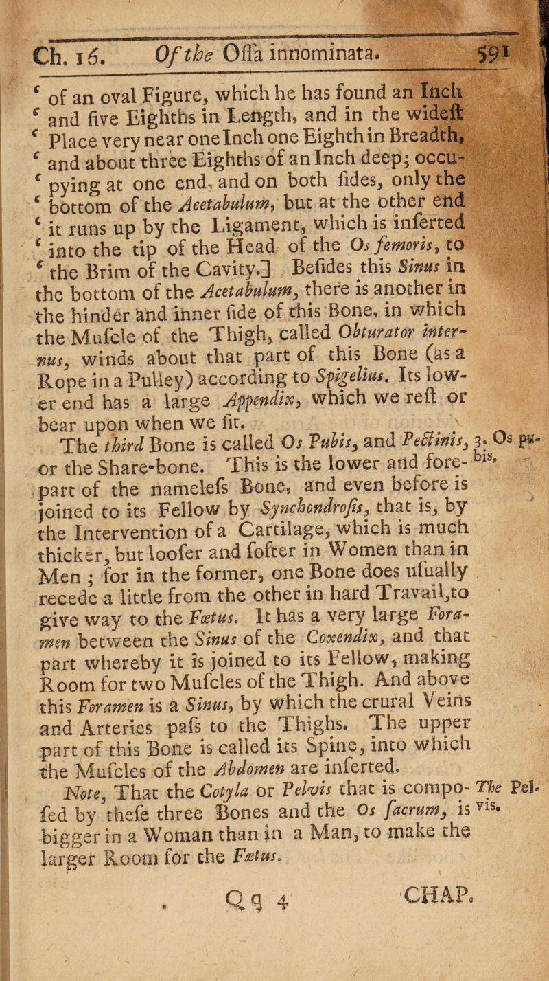 I. c of an oval Figure, which he has found an Inch f and five Eighths in Length, and in the wideft c Place very near one Inch one Eighth in Breadth, f and about three Eighths of an Inch deep; occu- c pying at one end** and on both Tides, only the c bottom of the Acetabulum, but at the other end 4 it runs up by the Ligament, which is inferted 4 into the tip of the Head of the Os femoris, to the Brim of the Cavity.] Befides this Sinus in the bottom of the Acetabulum, there is another in the hinder and inner fide of this Bone, in which the M.ufcle of the Thigh, called Obturator inter¬ ims, winds about that part of this Bone (as a Rope in a Pulley) according to Spgelius. Its low¬ er end has a large Appendix > which we reft or bear upon when we fit. The third Bone is called Os Pubis, and PeBinis, 3: Os p*. or the Share-bone. This is the lower and fore- blS> part of the namelels Bone, and even before is joined to its Fellow by Synchondrojis, that is, by the Intervention of a Cartilage, which is much thicker, but loofer and fofter in Women than in Men ; for in the former, one Bone does ufually recede a little from the other in hard Travail,to give way to the Foetus. It has a very large Fora¬ men between the Sinus of the Ooxendix, and tnac part whereby it is joined to its Fellow, making Room for two Mufcles of the Thigh. And above this Foramen is a Sinus, by which the crural Veins and Arteries pafs to the Thighs. T he upper part of this Bone is called its Spine, into which the Mufcles of the Abdomen are inferted. Note, That the Cotyla or Pelvis that is compo- The Pel- fed by thefe three Bones and the Os facrum, is vis. bigger in a Woman than in a Man, to make the larger Room for the Foetus. Qq 4