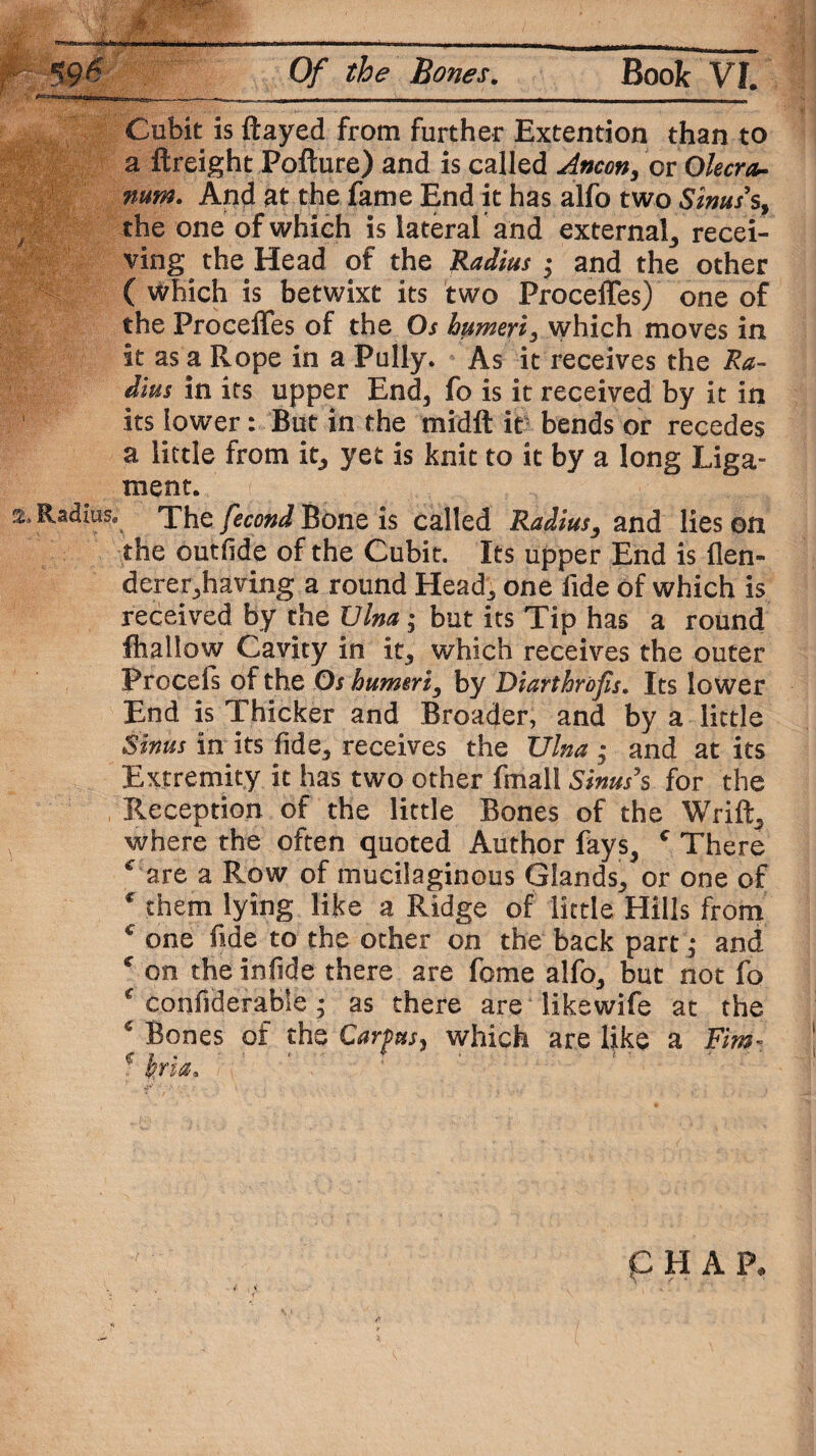 Cubit is flayed from further Extention than to a ftreight Pofture) and is called Ancon, or Olecra~ num. And at the fame End it has alfo two Sinus's, ~ the one of which is lateral and external, recei¬ ving the Head of the Radius • and the other ( which is betwixt its two ProcelTes) one of the ProcelTes of the Os humeri, which moves in it as a Rope in a Pully. As it receives the Ra¬ dius in its upper End, fo is it received by it in its lower: But in the midft it bends or recedes a little from it, yet is knit to it by a long Liga¬ ment. a. Radius^ The fecond Bone is called Radius, and lies on the outhde of the Cubit. Its upper End is flen- derer,having a round Head, one fide of which is received by the Ulna; but its Tip has a round Shallow Cavity in it, which receives the outer Procefs of the Os humeri, by Diarthrofis. Its lower End is Thicker and Broader, and by a little Sinus in its fide, receives the tJlna ; and at its Extremity it has two other frnall Sinus's for the Reception of the little Bones of the Wrift, where the often quoted Author fays, c There € are a Row of mucilaginous Glands, or one of c them lying like a Ridge of little Hills from c one fide to the other on the back part ,* and * on the infide there are feme alfo, but not fo * considerable • as there are likewife at the * Bones of the Carpus, which are Ijke a Fim- € hria. . 4*' •' ' •' : \ , * ; . 1 ,■ “