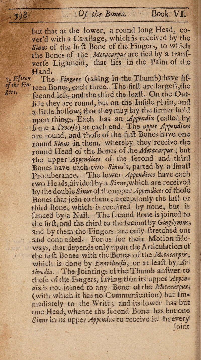 but that at the lower, a round long Head, co¬ ver’d with a Cartilage, which is received by the Sinus of the firft Bone of the Fingers, to which the Bones of the Metacarpus are tied by a tranf- verfe Ligament, that lies in the Palm of the Hand. 3. Fifteen 'phe pingers (taking in the Thumb) have fif- cfihe #*-teen Bones, each three. The firft are largeft,the gers* fecond lefs, and the third the leaft. On the Out- fide they are round, but on the Infide plain, and a little hollow, that they may lay the firmer hold upon things. Each has an Appendix (called by fome a Trocefs) at each end. The upper Appendices are round, and thofe of the firft Bones have one round Sinus in them, whereby they receive the round Head of the Bones of the Metacarpus • but the upper Appendices of the fecond and third Bones have each two Sinus*s, parted by a final! Protuberance. The lower Appendices have each two Heads,divided by a Sinus ywhich are received by the double Sinus of the upper Appendices of thofe Bones that join to them ; except only the laft or third Bone, which is received by none, but is fenced by a Nail. The fecond Bone is joined to the firft, and the third to the fecond by Ginglymus, and by them the Fingers are only ftretched out and contra&ed. For as for their Motion fide- ways, that depends only upon the Articulation of the firft Bones with the Bones of the Metacarpus, which is done by Enartbrofis, or at leaft by Ar¬ throdia. The Jointings of the Thumb anlwer to thefe of the Fingers, laving-that its upper Appen¬ dix 1$ not joined to any Bone of the Metacarpus» (with which it has no Communication) but im¬ mediately to the Wrift ; and its lower has but one Head, whence the fecond Bone has but one Sinus in its upper Appendix to receive it. In every Toint