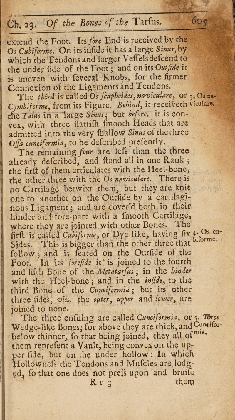 _iMirn___r ' Ch. 2 2. Of the Bones of the Tarfus. 605 -_—-—-—-—~-- extend the Foot. Its fore End is received by the > Os Cubiforme. On its infide it has a large Sinus,by which the Tendons and larger Veffelsdefcend to the under fide of the Foot; and on its Out fide it is uneven with feveral Knobs, for the firmer Connexion of the Ligaments and Tendons. The third is called Os fcafhoides,naviculare, or 3. Os na- Cjmbiforme, from its Figure. Behind, it receivech viculare. : the Talus in a large Sinus; but before, it is con- '*: i vex, with three flattilh fmooth Heads that are i admitted into the very (hallow Sinus of the three Off* cuneiforma, to be defcribed prefently. The remaining four are lefs than the three i\ already defcribed, and Hand ail in one Rank ; : the firlt of them articulates with the Heel-bone, the other three with the Os naviculare. There is j! no Cartilage betwixt them, but they are knit 3 one to another on the Outfide by a cartiiagi- t nous Ligament • and are cover’d both in their | hinder and fore-part with a fmooth Cartilage, t where they are jointed with other Bones. The i firft is called Cubiforme, or Dye-like, having fix 4-“ | Sides. This is bigger than the other three that 1 or £ follow j and is feated on the Outfide of the r Foot. In its forefide it4 is joined to the fourch jj and fifth Bone of the Metatarfus; in the hinder with the Heefbone; and in the infide, to the i third Bone of the Cuneiforms; but its other r three Tides, ‘viz,. the outer, upper and lower, are rj joined to none. The three enfuing are called Cuneiforma, or $. T&ree | Wedge-like Bones; for above they are thick, andCundfor (j below thinner, fo that being joined, they all ofnua,f them reprefent a Vault, being convex on the upr per fide, but on the under hollow: In which Jlollownefs the Tendons and Mufcles are lodg¬ ed^ fo that one does not prefs upon and bruife Rr 5 them