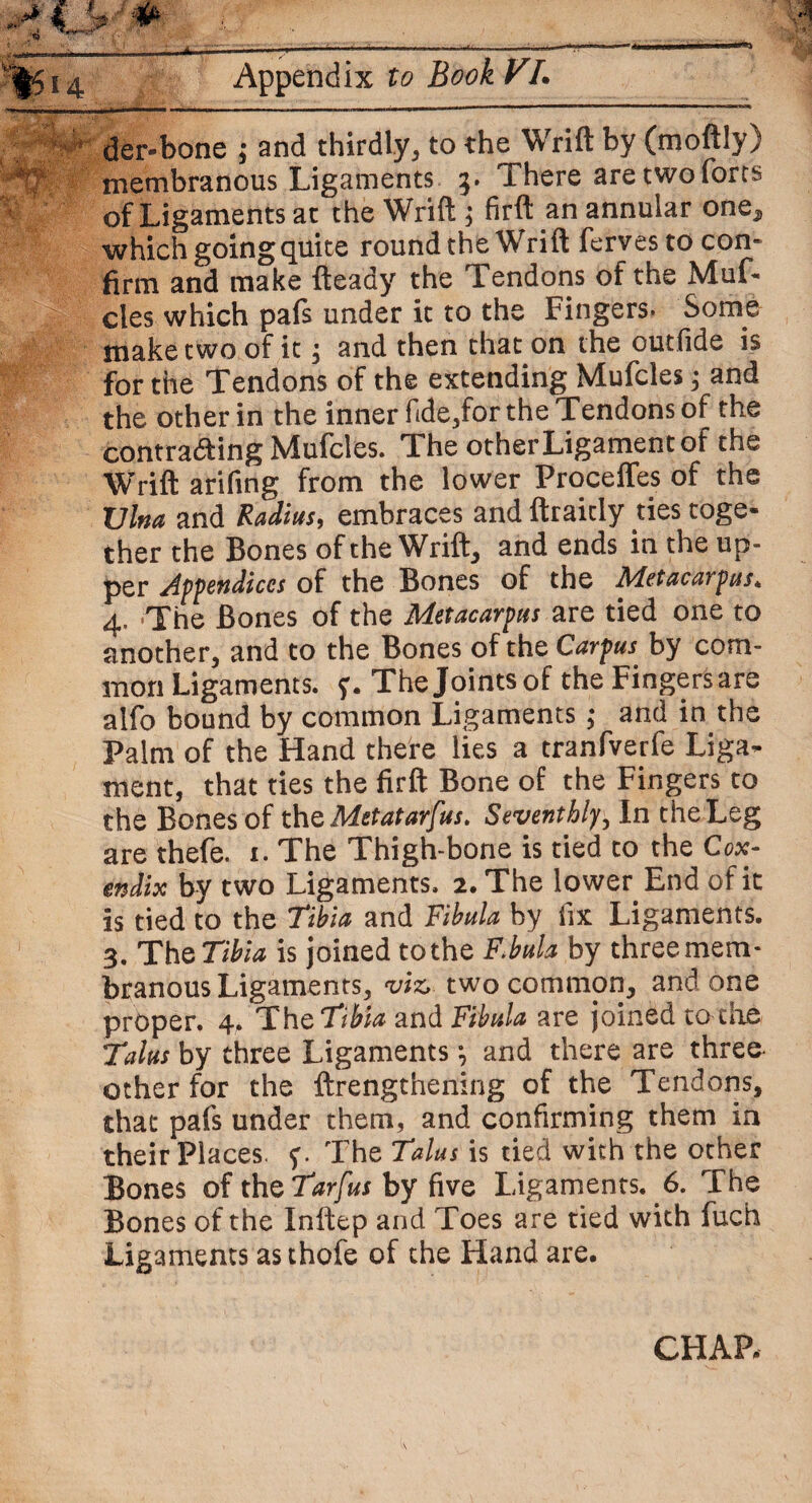 der-bone ; and thirdly, to the Wrift by (moftly) membranous Ligaments 3. There are two forts of Ligaments at the Wrift \ firft an annular one,, which going quite round the Wrift fervestocon- firm and make fteady the Tendons of the Muf- i cles which pals under it to the Fingers. Some make two of it; and then that on the outfide is for the Tendons of the extending Mufcles$ and the other in the inner fide,for the Tendons of the contraaing Mufcles. The other Ligament of the Wrift arifing from the lower Proceffes of the Vina and Radius, embraces and ftraitly ties toge¬ ther the Bones of the Wrift, and ends in the up- per Appendices of the Bones of the Metacarpus. 4. The Bones of the Metacarpus are tied one to another, and to the Bones of the Carpus by com¬ mon Ligaments. The Joints of the Fingers are alfo bound by common Ligaments; and in the Palm of the Hand there lies a tranfverfe Liga¬ ment, that ties the firft Bone of the Fingers to the Bones of the Metatarsus. Seventhly, In the Leg are thefe. 1. The Thigh-bone is tied to the Cox- endix by two Ligaments. 2. The lower End of it is tied to the Tibia and Fibula by fix Ligaments. 3. The Tibia is joined to the F.bula by three mem¬ branous Ligaments, viz, two common, and one proper. 4. The Tibia and Fibula are joined to the Talus by three Ligaments ^ and there are three other for the ftrengthening of the Tendons, that pafs under them, and confirming them in their Places, The Talus is tied with the other Bones of the Tarfus by five Ligaments. 6. The Bones of the Inftep and Toes are tied with fuch Ligaments as thofe of the Hand are. CHAP,