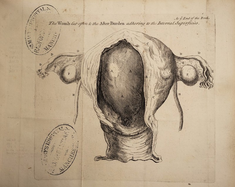 / So SA& After Burden tzd/iorma tv £/iz it ?/ Und /rf tAc A? rrrrk*