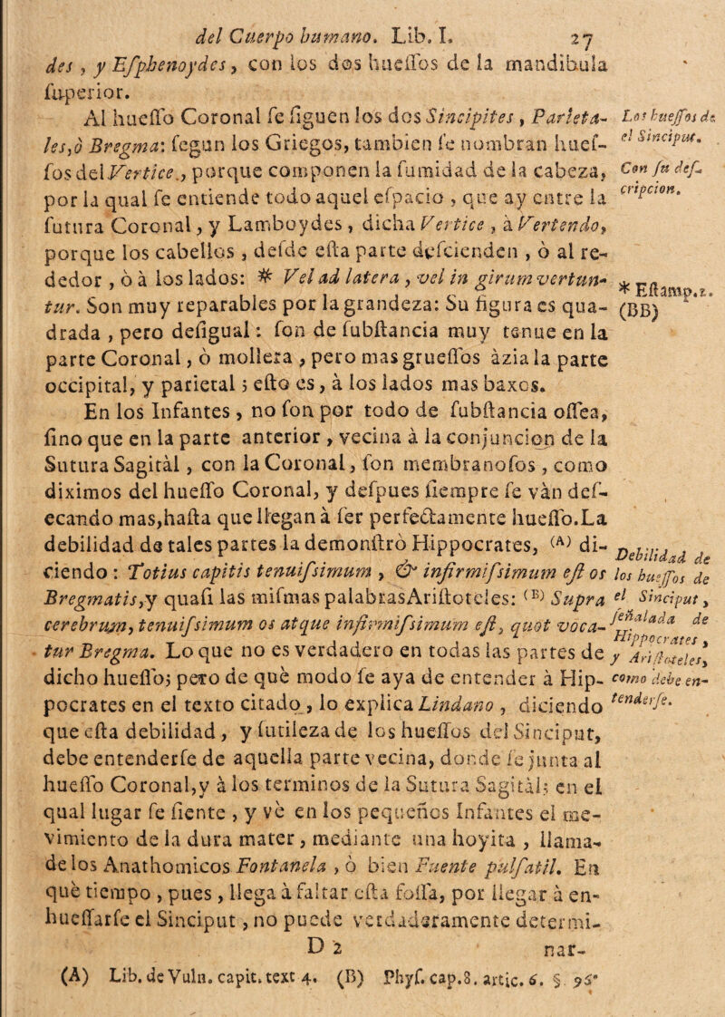 des, y Efpbenoydes y con ios dqs huellos de la mandibola íbperior. Áí hueffo Coronal fe liguen ¡os dos Sineipites , Parleta- Loskueffudt les fi Bregma: fegun los Griegos, también fe nombran huef- el SínaPut* ios dei Vertice., porque componen la fumi dad de la cabeza, Cm/udefi, por la qual fe entiende todo aquel efpacio , que ay entre la crtPcton‘ futura Coronal, y Lamboydes , dicha Vertice , à Vertendo, porque los cabellos , defde efta parte defcienden , ò al re¬ dedor , ò à ios lados: # Vei ad latera , vel in girum vertuti- ^ ¿wu Son muy reparables por la grandeza: Su figura es qua- drada , pero defígual : fon de fubftancia muy tenue en la parte Coronal, 0 mollera , pero masgrueflbs áziala parte occipital, y parietal 5 efto es, à ios lados mas baxes* En los Infantes , no fon por todo de fubílancia offe a, fino que en la parte anterior > vecina à la conjunción de ía Sutura Sagitàl, con la Coronai, fon membranofos , como diximos dei hueffo Coronal, y defpues fiempre fe van def¬ ecando mas,hafta que llegan à íer perfectamente hueflb.La debilidad de tales partes la demonftro Hippocrates, di- debilidad de ciendo : Totius capitis tenui/simum , & infirmifsimum efi os los busffbs de Bregmatis,y quafi las miftnas paiabr.asAriílotcles: (B) Supra ej sincìput, cerebrmn, tenuifsimum os atque infirmifsimum efi, quot voca- ^e tur Bregma. Lo que no es verdadero en todas las partes de y Aricele/, dicho huefibj pero de que modo íe aya de entender à Hip- c°m° debe, en- pocrates en el texto citado , lo explica Lindan o , diciendo tende,fe- que efta debilidad , y futileza de los huellos delSincipat, debe entenderfe de aquella parte vecina, donde fe junta al hueffo Coronal,y à los términos de la Sutura Sagital-, en el qual lugar fe fíente , y ve en los pequeños Infantes el mo¬ vimiento de la dura ma ter, mediante una hoyita , ilama- de los Anathomicos Fontafi&la , o bien Fuente pul/atil. En que tiempo , pues, llega à faltar efta folla, por llegar à en- hueííarfe el Sinciput, no puede verdaderamente detenni- D 2 ' nar- (A) Lib.de Vuln. capit^tcxt 4. (B) Phyf. cap.8. artic. 6. § 9$*