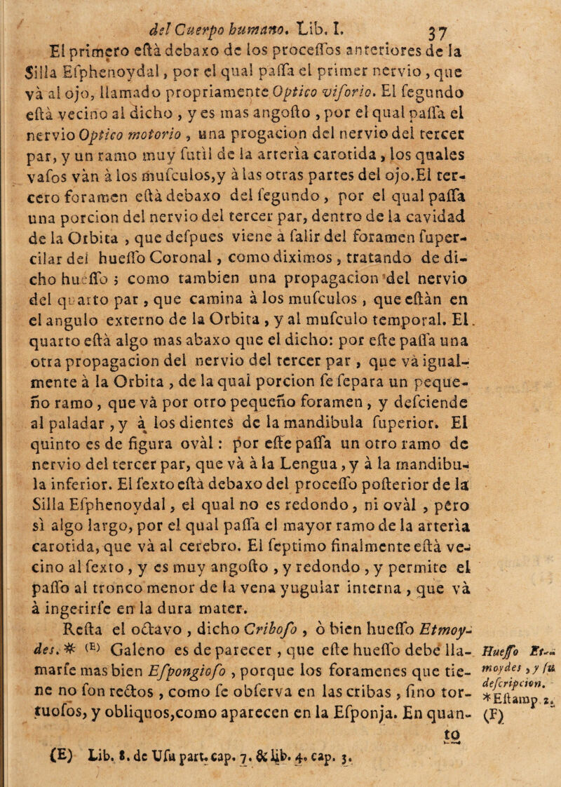 El primero eftádebaxo de los procedas anteriores de la Silla Efphenoydal, por el qual palla d primer nervio , que và al ojo, llamado propriamente Optico viforio. £1 fegundo eftà vecino al dicho , y es mas angafto , por el qual pafla ei nervio Optico motorio , una progacion del nervio del tercer par, y un ramo muy fútil de la arteria carótida , los qtiales vafos vàn à los mufculos,y à las otras partes del ojo.El ter¬ cero foramen eftàdebaxo del fegundo, por el qual palla una porción del nervio del tercer par, dentro de la cavidad de la Orbita , que defpues viene à falir del foramen fuper- cilar del huello Coronai, como diximos , tratando de di¬ cho hueflo 5 como también una propagación del nervio del quarto par, que camina à los mufeulos, queeñán en el ángulo externo de la Orbita , y ai mnícalo temporal. El. quarto eftà algo mas abaxo que el dicho: por efte paila una otra propagación del nervio del tercer par, que vá igual¬ mente à la Orbita , de la qual porción fe fepara un peque¬ ño ramo, que vá por otro pequeño foramen , y defeiende al paladar, y à los dientes de la mandíbula fuperior. El quinto es de figura oval : ]5or eííepaífa un otro ramo de nervio del tercer par, que và à la Lengua, y à la mandíbu¬ la inferior. Ei fexto cita debaxo del procelle poílerior de Silla Efphenoydal, el qual no es redondo, ni ovài , pero si algo largo, por el qual paífa el mayor ramo de la arteria carótida, que và al cerebro. Ei feptimo finalmente eftà ve¬ cino al fexto , y es muy angofto , y redondo , y permite el paffo al tronco menor de la vena yugular interna , que vá à ingerirle en la dura mater. Refta el odavo , dicho Crihofo , ò bien hueíTo Etmoy- des.% (E) Galeno es de parecer , que efte hueüb debe Ila- Huefo Et marte mas bien Efpongiofo , porque los forámenes que tie- m°y^es fa ne no fon redos , como fe obferva en las cribas , fino tor- * tuofos, y obliquos,como aparecen en la Efponja. En quan- (F) to i-—4 {£) Lib. S. de Ufa parucap. 7. &i¿b. 4, cap. $,