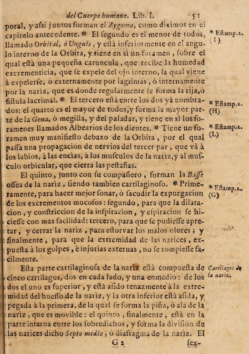 * Efamp.a, (H) * Eíhmp.t. (L> del Cuerpo humano» Lib. I. 5 í poral, y afsi juntos forman ci Zj/goma, como diximos cu el capitulo antecedente. # El fegundo es el menor de todos* * Eftamp.s, llamado Orbital, d Unguis , y dlá inferior mente en el angu- '' ^ lo interno de la Orbita, y tiene en si un foramen , fobre ei quai eftà una pequeña carúncula , que recibe la humedad excrementicia, que fe expele del ojo interno, ia quai viene à expelerfe, 6 externamente por lagrimas., o internamente por la nariz, que es donde regularmente fe forma la rija,q fiftula lacrimal. # El tercero eftà entre los dos yá nombra* •dos: el quarto es el mayor de todos,y forma la mayor par¬ te de la Gena, o megiiía, y dei paladar, y tiene en si la$fo¬ rámenes llamados Albearios de ios dientes. # Tiene un fo¬ ramen muy manifiefto debaxo de la Orbita, por el quai paffauna propagación de nervios del tercer par, que va a los labios, à las encías, à los mufculos de la nariz,y al nuf culo orbicular, que cierra las peftañas. El quinto, junto con fu compañero , forman la Bajfe oífea de la nariz, fiendo también cartilaginofo. # Prime-* raraente, para hacer mejor fonar, ò facudir la expurgacion de los excrementos mucofos : fegundo, para que la dilata¬ ción , y conftriccion de la infpiracion * y efpiracion fe hi- ciefle con mas facilidad: tercero, para que fe pudiefíe apre¬ tar , y cerrar la nariz , para eftorvar los malos oleres, y finalmente, para que la extremidad de las narices, ex- puefta à los golpes , b injurias externas, na fe rampieíTe fa« cilmente» Efta parte cartilaginofa de la nariz, cita complicità de Cartílagos cinco cartílagos, dos en cada lado, y una enmedio : de los idos el uno es fuperior, y eftà addo tenazmente ala extre-i 1 midad del hueflo de la nariz, y la otra inferior eftà afida, y pegada à la primera, de la quai fe forma la pina, 0 ala de la 1 nariz , que es movible : el quinto , finalmente , eftà en la parte interna entre los fobredichos, y forma la divifion de lias narices dicho Septo medio , o diafragma de la nariz. El G 2 fex- * Eft-ajMp.w (G) la nariz»