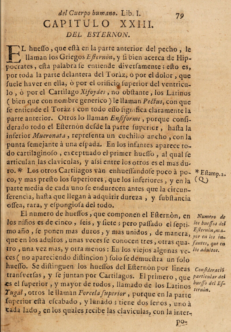 CAPITULO XXIII. DEL ESTERNON. 79 EL hueffo > que eftá en ia parre anterior del pecho , le , llaman los Griegos Eflernon, y íi bien acerca de Hip- pocrates, efta palabra fe entiende divetíamente > e-fto es, por toda la parte delantera del Toraz, o par el dolor , que íuele haver en ella, ò por el orificia íuperior del ventrícu¬ lo , ò por el Cartílago Xifoydes, no obftante , los Latinos ( bien que con nombre generico ) le llaman PeBus, con que fe entiende el Toráz 5 con todo eflo lignifica claramente ia parte anterior. Otros lo llaman Enjiformc , porque confi- derado todo el Efternon dcfde la parte fuperi-cr , hafta la inferior Mucronata > repreíenta un cuchillo ancho , con la punta í'emejante à una efpada. En los infantes aparece to¬ do cartitáginofo , exceptuado el primer hue.flb , al qual fe articulan las claviculas, y aísi entre los otros es el mas du¬ ro.# Les otros Cartílagos van enhueflandofe poco à po- *Eíhmp,2. co, y mas predo los fuperiores, que los inferiores, y en la (Qj parte media de cada uno fe endurecen antes que la circun¬ ferencia, hada que llegan à adquirir dureza , y fubdancia oífea, rara, y efpongiofa del todo. El numero de huellos , que componen el Efternon, en Numere de los niños es de cinco , íeis , y Hete ; pero pallado el fepti- ,os hmJf01 del moaño , fe ponen mas duros, y mas unidos , de manera, Ef ernin>ma- que en los adúleos , unas veces íe conocen tres, otras qua- tro , una vez mas, y otra menos : En los viejos algunas ve- ^ot adu¡toi. ces( no apareciendo diftincion ) Tolo íedemueftra un foio huello. Se diftinguen los hueffos del Efternon por lineas Confiderai tranfverfas , y fe juntan por Cartílagos. El primero , que Particular¡tei <s e! íuperior , y mayor de todos, llamado de los Latinos hue^°del EJ~~ Yugal, otros le llaman Porcela fuperior , porque en la parte U'mn' íuperior eftá efeabado , y lunado 5 tiene dos leños , uno à cada iadpj en los quaies recibe las claviculas, con la inter- ^ . £93