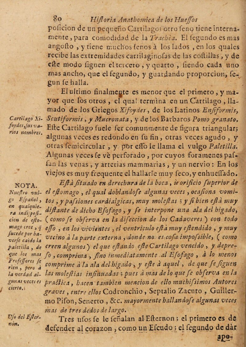 Cartílago Xi- foydesyjus va¬ rios nombres. NOTA. Ñaejfro vul¬ go EJpañol y en qualquie- ra indi¡gofi¬ el on de efto- mago cree y q fucede por ba- ver fe caldo la paletilla 5 de que los mas Trofejfores fe ríen , pero à la verdad al¬ gunas veces es cierto.\ Vfo del Ejler¬ ti ón* 8o infiori a Ánathomica de los Huefios poficion de un pequeño Cartílago; otro fe no tiene interna¬ mente , para comodidad de la Trachea. Ei fegundo es mas angolio ,-y tiene muchos í.enos à Sos lados , en los quales recibe las extremidades canilaginofas de las coílilías 7 y de eñe modo ílguen ei tei cero , y quarto , fiendo cada uno mas ancho, que el fegundo, y guardando proporción, fe- gun fe halla. El ultimo finalmente es menor que el primero , y ma¬ yor que los otros , el qua! termina en un Cartílago , lla¬ mado de los Griegos Xifoydes , de los Latinos Enfiformis9 Scutiformi* , y Mucronata , y de los Barbaros Tomo granato. Eñe Cartílago fuele fer comunmente de figura triangulan algunas veces es redondo en fu fin , otras veces agudo , y otras femicircular , y ptir effo le llama el vulgo Paletilla. Alg unas veces fe ve perforado , por cuyos forámenes paf¬ lón las venas, y arterias mammarias, y un nervio : En los viejos es muy frequente el hallarle muy feeo,y enhueíTado. Efid fituado en derechura de la boca , ir orificio fuperior de el efiomago , el qual doHandofie algunas veces , ocafiona vómi¬ tos y y pafs iones cardialgicas, muy mohfias ; y fi bien efid muy difiante de dicho Efofago , y fe interpone una ala del hígado, ( como fe obferva en la difeccion de los Cadáveres ) con todo ejfo . en los vivientes , el ventrículo efid muy efiendido , y muy vecino d la parte externa , donde no es cofia impofsibley ( como creen algunos} el que efi ando efie Cartílago vencido , y depre- fo y comprima , fino inmediatamente al Efofago , d lo menos comprime d la ala del hígado , y efie d aquel , de que fe figuen las mole (lias infinitadas ; pues d mas de lo que f? obferva en ¡a praBica} hacen también mención de ello muchifsimos Autores graves , entre ellos Codtonchio , Septalio Zacuto , Guiller¬ mo Piforq Senerto , &c. mayormente hallandofe algunas veces mas de tres dedos de largo. Tres ufes fe le íeñalan alEfternon; el primero es dé defender al corazón } como un Efcudo 5 el fegundo de dar ' r“  .’ ... ' ~7
