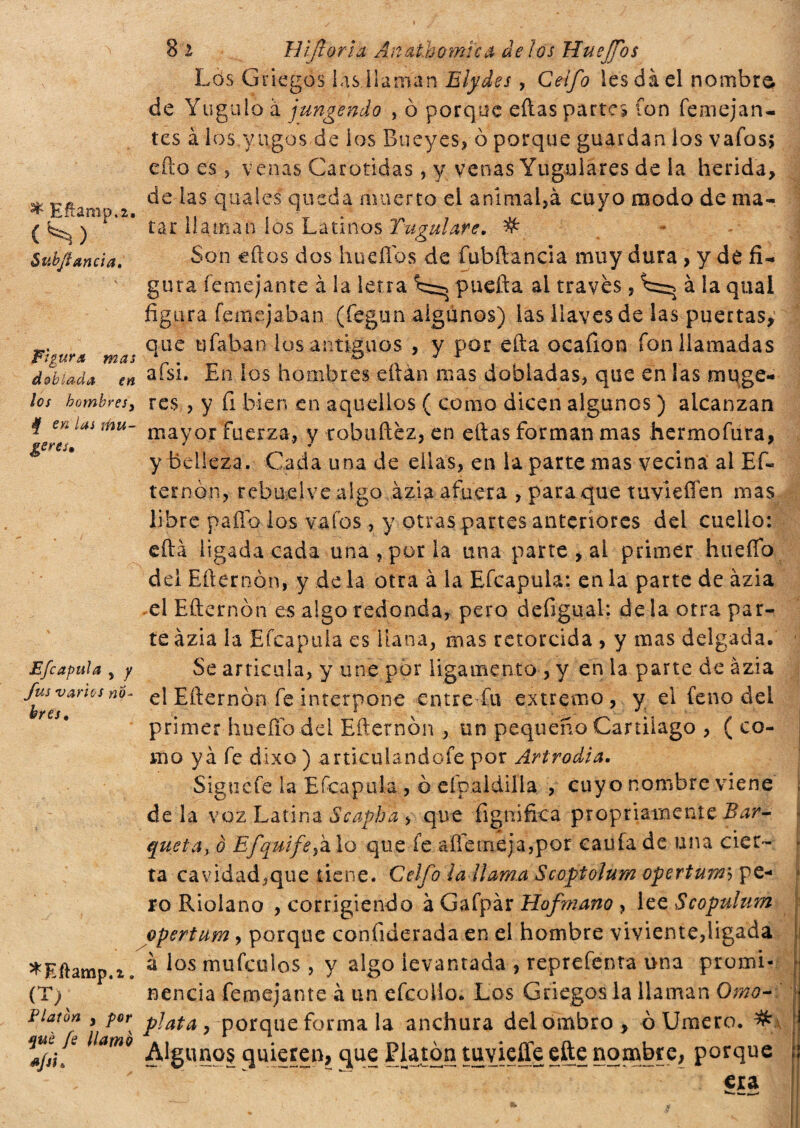 ^ Eñamp.2, <s> ; Subflancia, 8 i WJlorìa Ánathomka délos Huejfos Los Griegos las,llaman Eiydes , Ceifo les dà el nombro de Yugulo à fungendo , ò porque ellas partes fon femejan- tes à los.yugos-de ios Bueyes, ò porque guardan los vafes, efto es, venas Carótidas, y venas Yugulares de la herida, de las quales queda muerto el animará cuyo modo de ma¬ tar llaman ios Latinos Yugulare. # Soneftos dos huellos de fubílancia muy dura , y dé fi¬ gura femejante à la letra puefta al través, à la qual figura femejaban (fegun algunos) las llaves de las puertas,' a mar que ufaban ios antiguos , y por ella ocafion fon llamadas doblada en afsi. En los hombres eftan mas dobladas, que en las muge- los hombres, res , y fi bien en aquellos ( como dicen algunos ) alcanzan f eK tas mu- mayorTuerza, y robuílez, en ellas forman mas hermofura, g y belleza. Cada una de ellas, en la parte mas vecina al EL ternoiij rebuelve algo azia afuera , para que tuvieffen mas libre paño los vafes , y otras partes anteriores del cuello: cita ligada cada una, por la una parte , al primer hueíío del Efternón, y de la otra à la Efcapula: en la parte de azia el Efternón es algo redonda, pero defigual; déla otra par¬ te azia la Efcapula es liana, mas retorcida , y mas delgada. Efcapula , y Se articula, y une por ligamento, y en la parte de azia fus vanes no- el Efternón fe interpone entre fu extremo, y el feno del primer hueíío del Efternón , un pequeño Cartílago , ( co¬ mo yá fe dixo) articulandofe por Artrodia. Sigtiefe la Efcapula , ó efpaldiíla , cuyo nombre viene déla voz Latina Scapha^ que lignifica propriamente Ban¬ queta, ò Efquifefk lo que fe afletneja,por caula de una cier¬ ta cavidad,que tiene. Ceifo la llama Scoptolum opertumh pe¬ ro Ridano , corrigiendo à Gafpàr Hofmano , lee Scopulum opertum, porque confiderada en el hombre viviente,ligada à los mufeulos, y algo ievantada , reprefenta una promi¬ nencia femejante à un efcollo. Los Griegos la llaman Omo- Flat0* >¡ plata , porque forma la anchura del ombro , òUmero. #, S.L am° Algunos quieren, que Platón tuvieffe efte nombre, porque era ^Eftamp.i (T)