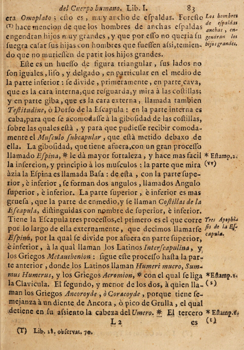 era Omoplato \ cño es , muy ancho de efpaldas. Forefto Lcl homhm <T) hace mención de que los hombres de anchas efpaldas engendran hijos muy grandes ,y que por elfo no quería fu gemirán ios fuegra cafar fus hijas con hombres que fuefíen afsi,temien- ¿fijosgrandes. do que no muriefien de parir ios hijos grandes. Elle es un lineilo de figura triangular , fus lados no fon iguales, Ufo , y delgado , en particular en el medio de la parte inferior : fe divide , primeramente, en parte cava, que es la cara interna,que refguarda5y mira à las coftiiias; y en parte giba, que es la cara externa , llamada también Tefitudine, o Dorio de la Efcapula : en la parte interna es caba,para que fe acomoáaíle à la gibofidad de las coftiiias, fobre las quales eftá , y para que pudieífe recibir comoda¬ mente el Mit fculo fubcapular , que eftá metido debaxo de ella. La gibofidad, que tiene afuera,con un gran proceffb llamado Efpina, # le dà mayor fortaleza , y hace mas fácil * Eftamp.s* la infercion, y principio à los muículos : la parte que mira (VY) azia la Efpina es llamada Bafa : de efta , con la pane fupe- rior, è inferior * fe forman dos ángulos, llamados Angulo fuperior, è inferior.. La parte fuperior , è inferior es mas gruefa , que la parte de enmedio,y íe llaman Coftiiias de la, Efcapula, diftinguidas con npmbre de fuperior, è inferior. Tiene la Efcapula tres proceffos,el primero es el que corre Tres ApopbU por lo largo de ella externamente, que decimos llamaría *e la%f? Efpiréy por la qual fe divide por afuera en parte fuperior, c ? * ¿inferior, à la qual llaman los Latinos Iñterfcapulina > y los Griegos. Metauchenion. : figue efte proceífo hafta la par* te anterior , donde los Latinos llaman Humeri mucroy $um¿ mus Humerusy y los Griegos Acromiony # con el qual fe liga *EfUmp.s« la Clavicula. El fegundo, y menor de los dos» à quien lia- (s) man los Griegos Ancoroyde , ò Cor acoy de , porque tiene fe- mejanza à un diente de Ancora » 0 pico de Grulla , el qual detiene en fu afsientola cabeza del Umero. # El tercero * Eftamg.tfe ip Lz  ~ ~ ‘ es M (T) Lih.il . obfervat. 7®.