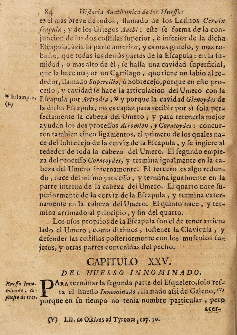 * Eílamp.2( («; Huejfo Inno¬ minado 3 co- fuefto de fres, 84 Hiftoria Anathomica de los Uuejfos ei mas breve de codos, llamado de los Latinos Cervix fe apula , y de los Griegos Auchi : eñe fe forma de la con¬ junción de las dos coftillas fuperior , è inferior de la dicha Efcapuia, azia la parte anterior, y es mas gruefo, y mas ro¬ bado, que todas ias demás partes de la Efcapuia : en la fu- midad , 6 mas alto de él , fe halla una cavidad fuperficial, que la hace mayor un Cartílago , que tiene un labio al re¬ dedor, llamado Supercilio^ ò Sobrecejo,porque en efte pro-, celio , y cavidad fe hace la articulación delUmero con la Efcapuia por Artrodia , # y porque la cavidad Glenoydes de la dicha Efcapuia, no es capàz para recibir por sì fola per-; fedamente la cabeza del limero , y para retenerla mejor ay udan ios dos proceffbs Acromion , y Coracoydes : concur¬ ren también cinco ligamentos, el primero de los quales na¬ ce del fobrecejo de la cerviz de la Efcapuia , y fe ingiere ai rededor de toda la cabeza delUmero. El fegundoempie¬ za del proceffo Goracoydes, y termina igualmente en la ca- bezadei limero internamente. El tercero esalgo redon¬ do , nace del mifmo proceffo , y termina igualmente en la parte interna de la cabeza del Umero. El quarto nace fu- periormente de la cerviz de la Efcapuia , y termina exter¬ namente en la cabeza delUmero. El quinto nace , y ter-; mina arrimado al principio , y fin del quarto. Los tifos proprios de la Efcapuia fon el de tener articu¬ lado el Umero , como diximos, foftener la Clavicula , y defender las coftillas pofieriormente con los mufeulos fu- jetos, y otras partes contenidas del pecho. CAPITULO XXV. DEL HUESSO INNOMINADO. PAra terminar la fegunda parte del Efqueleto,folo rei¬ tà el hueíío Innominado , llamado afsi de Galeno, (V> porque en fu tiempo no tenia nombre particular > perp acer-