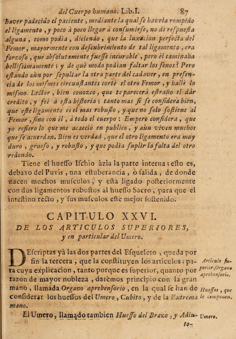 ftaver padecido el paciente , mediante la qualf? bavria rompido el ligamento ,y poco d poco llegar a confumirfe, no di refpuefía alguna , como podía , diciendo , que La luxación perfetta del Temor , mayormente con defcubrimiento de tal ligamento ¿ era forzofo , abfolutamente fueJfe incurable , i/ caminaba bellifsimamente ; ^ de .que modo podían faltar los fenosl Pero eftando aun por fepultar la otra parte del cadáver , prefen- i? los mifmos circundantes corté el otro Femor ,y hallé lo mifmo-. Lettor conozco , que te parecerá e¡Iraño el dar credito , y fee d ejla hijloria ; tanto mas fi fe co7ifiderabimy que efie ligamento es el mas robuf o , y que no folo foflhns al Femor éfino con él, d todo el cuerpo : Empero confiderà , que yo refiero lo que me acaeció en publico -, y aun viven muchos que fe acuerdan. Bien es verdad yque el otro ligamento era muy duro , gruefo , y robufio , y que podía fuplir la falta del otro redondo. Tiene elhueíTo Ifclilo àzia la parte interna ; ello es, debaxo dei Puvis , tina eftuberancia, ò (alida , de donde nacen muchos mu (culos, y efta ligado pofteriormente con dos ligamentos robuíros al hueífo Sacro , para que el inteftino redo , y fus mufoulos efte mejor foftcnido. CAPITULO XXVI. DE LOS ARTICULOS SUPERIORES, yen particular dsl limero, DEÍcriptas ya las dos partes del Efqudeto , queda por fin la tercera , que la conftituyen los artículos opa¬ ra cuya explicación , tanto porque es fupenor, quanto por razón de mayor nobleza , daremos principio con la gran mano , llamada Organo aprehenforio , en la qual fe han de confiderar los huefTos del limero , Cubito , y de La Extrema mano. EiUmeto, llamado también Huejfo del Brazo , y Adm- tQ~ Articulo fu- perior3Orgari9 aprebenjoriu, Huejfos j que le componen. Vrnero.