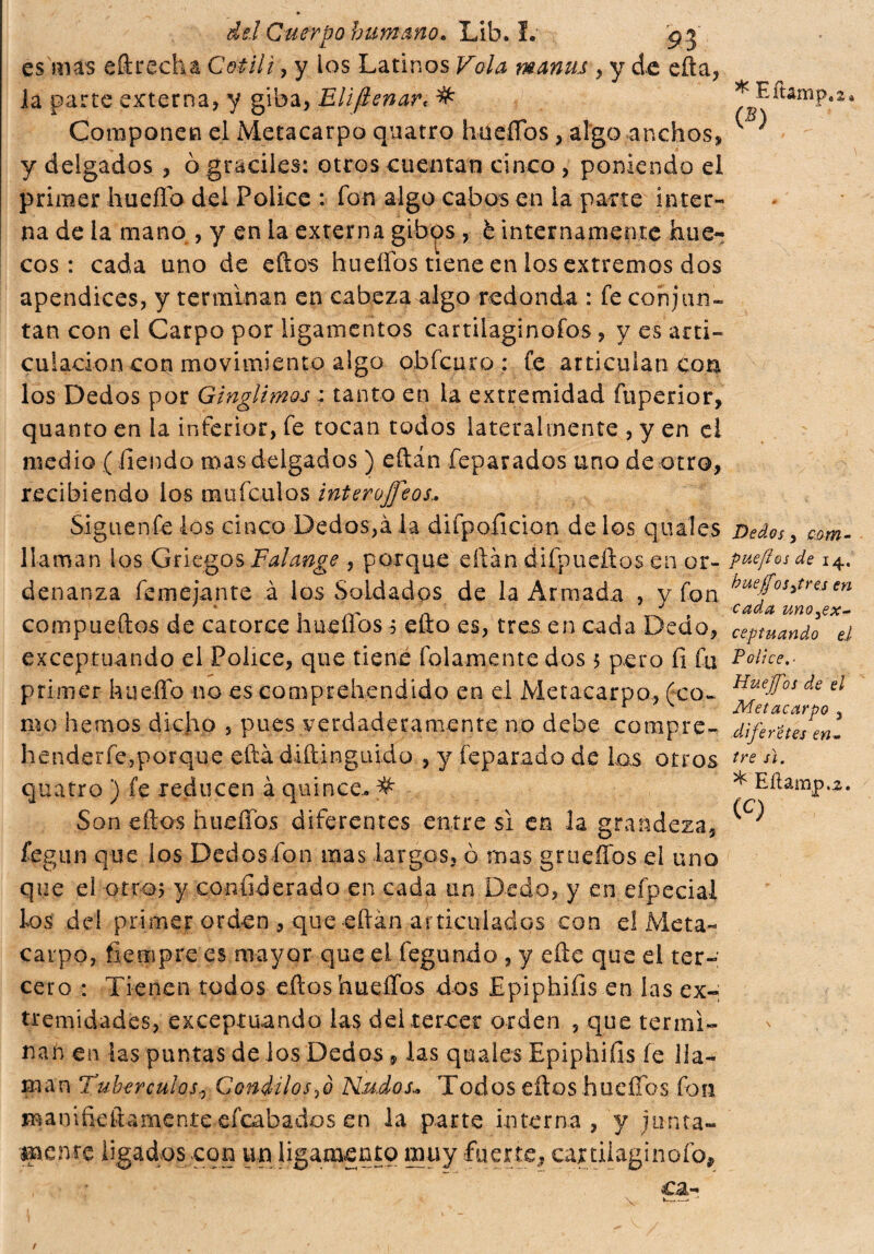es mas e{trecha Cetili, y los Latinos Vola manas , y de efta, la parte externa, y giba, Eliflenar< # * Eftamp.2* Componen el Metacarpo quatro haeffbs , algo anchos, ^ y delgados , ò gráciles: otros cuentan cinco , poniendo el primer huello dei Pólice : fon algo cabos en la parte inter¬ na de la mano , y en la externa gibos , è internamente hue¬ cos : cada uno de eños huellos tiene en ios extremos dos apéndices, y terminan en cabeza algo redonda : fe conjun¬ tan con el Carpo por ligamentos cartilaginofos, y es arti¬ culación con movimiento algo obfcuro : fe articulan con los Dedos por Ginglimos : tanto en la extremidad íupenor, quanto en la inferior, fe tocan todos lateralmente , y en el medio ( iiendo mas delgados ) eftán feparados uno de otro, recibiendo los mufculos inter offe os.. Sígnente ios cinco Dedos,à la difpoficion de los q nales Dedos > c&m- 1 laman los Griegos Falange , porque citan difpueftos en or- pucftosde i4. denanza fe me jan te à ios Soldados de la Armada , y fon h™f°Sj>tracn compueftos de catorce huellos 5 ello es, tres, en cada Dedo, ceptuando d exceptuando el Pólice, que tiene fidamente dos 5 pero fi fu Polke.• primer huello 110 es comprehendido en el Metacarpo, feo- HueJT0S de el , ... . , , , Metacarpo 3 mo hemos dicho , pues verdaderamente no debe compre- diferretes en- henderfe,porque eftà diítin guido , y feparado de las otros tre '*• quatro ) fe reducen à quince. # * Ellampo. Son ellos hueífos diferentes entre si en la grandeza, ^ fegun que los Dedos fon mas largos, ò mas gru elfos el uno que el otro; y confederado en cada un Dedo, y en efpecial los del primer orden , que eftán articulados con el Meta¬ carpo, fiempre es mayor que el fegundo , y elle que el ter¬ cero : Tienen todos ellos hueífos dos Epiphifis en las ex¬ tremidades, exceptuando las del tercer orden , que termi¬ nan en las puntas de los Dedos » las quales Epiphifis fe lla¬ man Tubérculos? Cóndilos,0 Nudos* Todos ellos hueífos fon manifieftamente efeabados en la parte interna, y junta- inente ligados con un ligamento muy fuerte, caxtilaginofo, cs>-