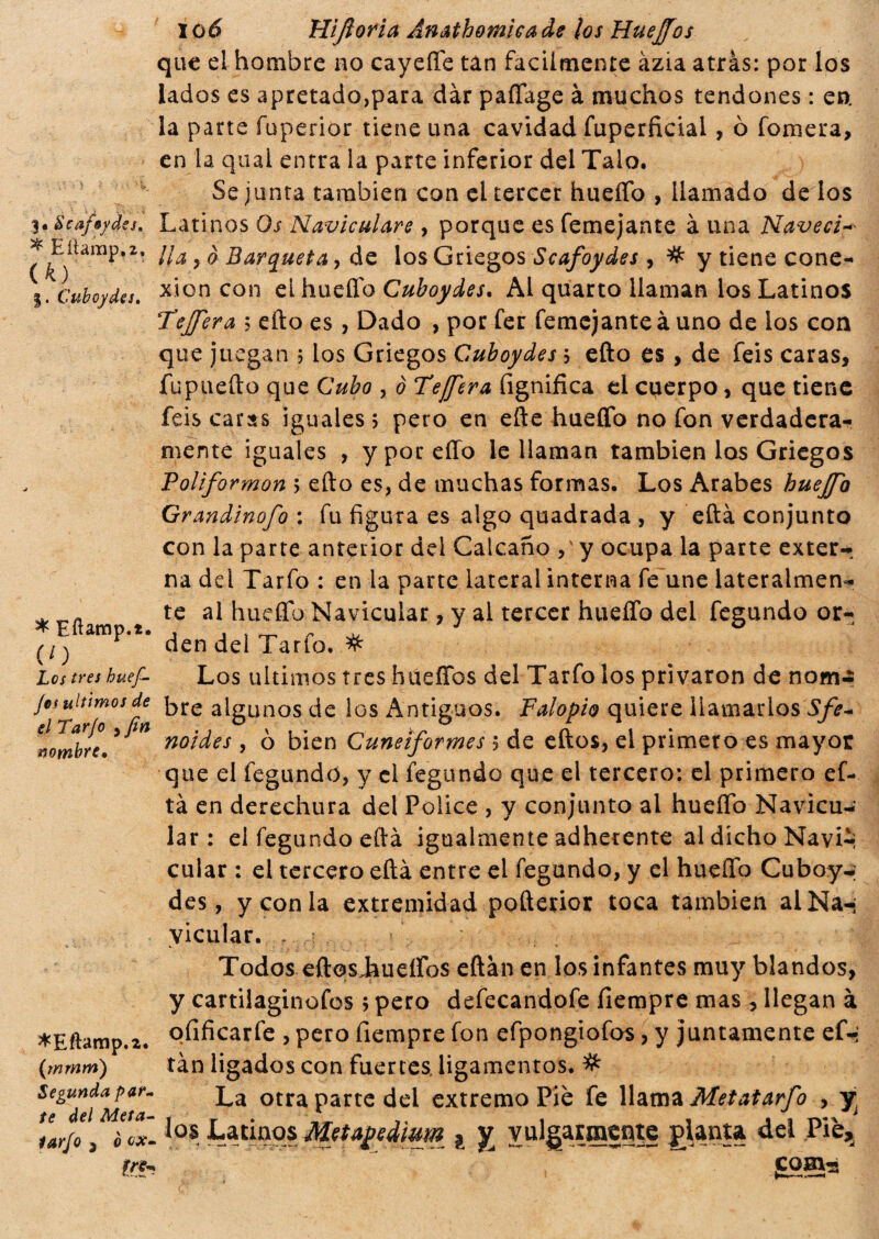 3# Scafoydes, * Eiiarap.2. Ú) 3. Cuboydes. * Eftamp.t. (O Los tros huef- Jtif últimos de el Tarjo , fin nombre. *Eftatnp.2. (mmm) Segunda par* te del Meta- (r** io 6 Hi ¡loria Anathonrìeade los Huejfos que el hombre no cayeíTe tan facilmente àzia atrás: por los lados es apretado,para dar paffage à muchos tendones : en. la parte fuperior tiene una cavidad fuperficial, ò fortiera, en la qual entra la parte inferior del Talo, Se junta también con el tercer hueíTo , llamado de los Latinos Os Naviculare, porque es femejante à una Naveci¬ lla y ò Barqueta, de los Griegos Scafoydes , # y tiene cone¬ xión con el hueffo Cuboydes, Al quarto llaman los Latinos Tejfera ; efto es , Dado , por fer femejante à uno de los con que juegan 5 los Griegos Cuboydes 5 efto es , de feis caras, íupuefto que Cubo y ò Tejfera lignifica el cuerpo, que tiene feis caras iguales 5 pero en efte hueffo no fon verdadera¬ mente iguales , y por elfo le llaman también los Griegos Toliformon > efto es, de muchas formas. Los Arabes hueffo Grandinofo : fu figura es algo quadrada , y eftá conjunto con la parte anterior del Calcano , y ocupa la parte exter- na dd Tarfo : en la parte lateral interna fe une lateralmen- te al hueflb Navicular, y al tercer hueffo del fegundo or¬ den dei Tarto. # Los últimos tres hueffos del Tarfo los privaron de nom¬ bre algunos de los Antiguos. Falopio quiere llamarlos Sfe* noides , ò bien Cuneiformes 5 de eftos, el primero es mayor que el fegundo, y el fegundo que el tercero: el primero ef¬ tá en derechura del Pólice , y conjunto al hueffo Navicu¬ lar : el fegundo eftá igualmente adherente al dicho Navi-, ciliar : el tercero eftá entre el fegundo, y el hueffo Cuboy-; des, y con la extremidad pofterior toca también al Na-, vicular. r Todos eftosiuieífos eftan en los infantes muy blandos, y cartilaginofos ; pero defecandofe fiempre mas , llegan à qfificarfe , pero fiempre fon efpongiofos, y juntamente ef-j tán ligados con fuertes, ligamentos. # La otra parte del extremo Pie fe llama Metatarfo > y,