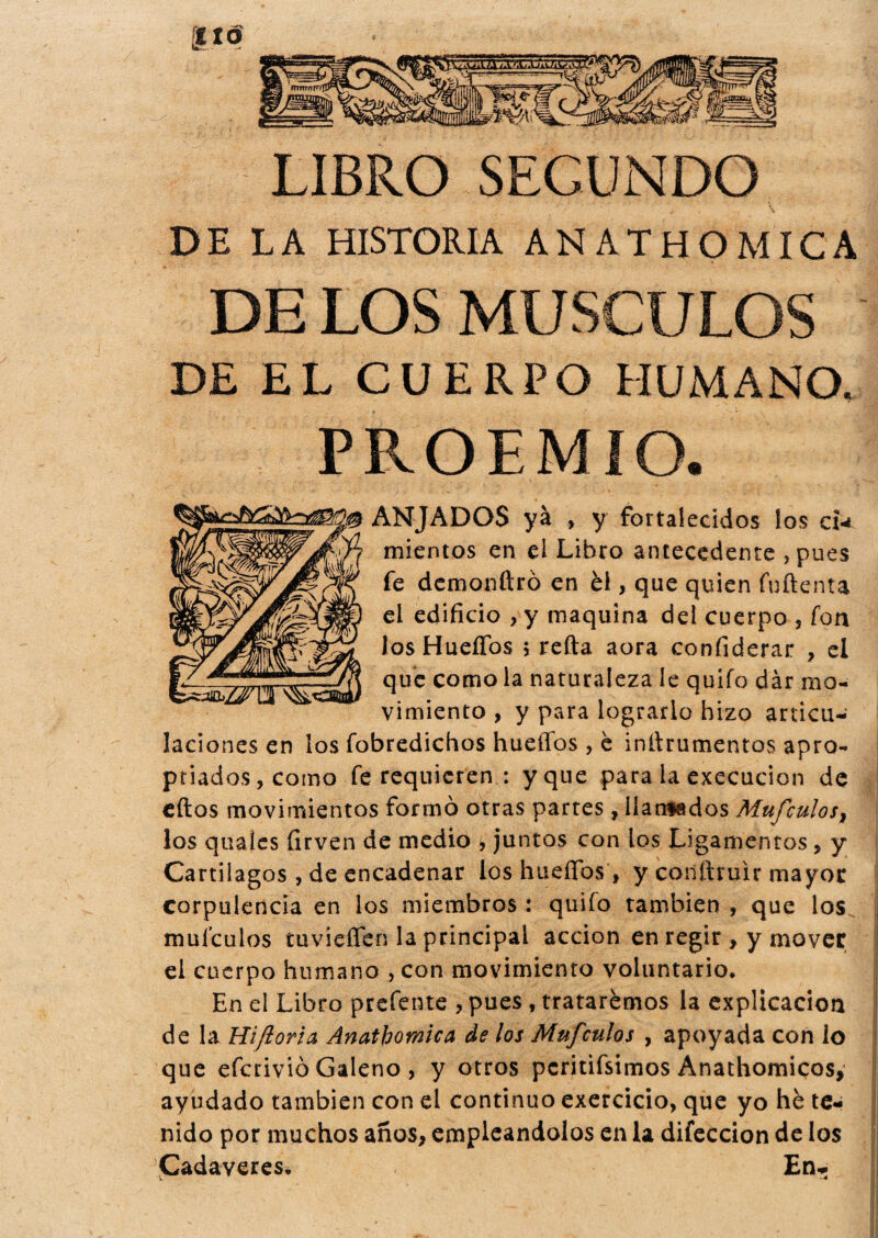 LIBRO SEGUNDO DE LA HISTORIA ANATHOMICA DE LOS MUSCULOS DE EL CUERPO HUMANO. PROEMIO. ANJADOS yá , y fortalecidos los cU mientos en el Libro antecedente ,pues fe demonftro en éi, que quien fuftenta ei edificio , y maquina del cuerpo , fon los HueíTos 5 refta aora confiderar , el que como la naturaleza le quifo dar mo¬ vimiento , y para lograrlo hizo articu¬ laciones en los fobredichos huellos, è infirumentos apro- ptiados,coino fe requieren : y que para la execucion de eftos movimientos formò otras parres, llantados Mufculos, los qualcs firven de medio , juntos con los Ligamentos, y Cartílagos , de encadenar los hueífos f y conftruir mayor corpulencia en los miembros : quilo también , que los mufculos tuvieflen la principal acción en regir , y mover el cuerpo humano , con movimiento voluntario. En el Libro prcfente , pues, trataremos la explicación de la Hi fiorì a Anathomica de los Mufculos , apoyada con lo que efcriviò Galeno , y otros pcritifsimos Anathomicos, ayudado también con el continuo exercicio, que yo hé te¬ nido por muchos años, empleándolos en la difeccion de los Cadáveres. En-