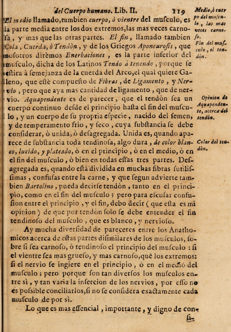 Opinion i$ !del Cuerpo humano. Lib# IL tip Medie ,¿ r »*r B/medio llamado,también cuerpo, 0 vientre del mufeulo, es *1***™*'^ la parte media entre los dos extremos,las mas veces carno- ve*ctt carne- fa, y mas que las otras partes. El fin, llamado también fi- \Cola , Cuerda, ò Tendon., y de ios Griegos Aponeurosis, que ^ tnofotros dirémos Enerbaciones , es la parte inferior dei icftira à femejanza de la cuerda del Arco,el quai quiere Ga¬ leno, que efte compuefto de Fibras , de Ligamento , y Afe*1-» * vio , pero que aya mas cantidad de ligamento, quede ner-t vio. Aquapendente es de parecer , que el tendón fea un cuerpo continuo defde ei principio halla el fin del mufeu- lo , y un cuerpo de fu propria eípecie, nacido del femen, sendo*. y de temperamento frió, y feco , cuya fubftancia fe debe confiderar, ó unida, ó defagregada. Unida es, quando apa¬ rece de fubftancia toda tendinofa, algo dura , de color blan- CoUrdtlua* co, lucido, y plateado, ó en el principio , ó en el medio, o en don* el fin del mufeulo , ó bien en todas eftas tres partes. Def¬ agregada es, quando eftà dividida en muchas fibras futilif- fimas , confuías entre la carne, y que fegun advierte tam?- bien Bartolino , pueda decirfetendón , tanto en el princi¬ pio, como en ei fin del mufeulo 3 pero para cicalar confu- fion entre eí principio , y el fin, debo decir ( que efta es mi opinion ) de que por tendón folo fe debe entender el fia tendinofo del mufeulo , que es blanco , y nervioío* v Ay mucha diveríldadde pareceres entre los Anatho- micos acerca de eftas partes difimilaresde los mu (culos, fefe bre fi fea carnoíd, ó tendinofo el principio dd mufeulo : íi el vientre fea mas gruefo, y mas carnofo,qué los extremos: fi el nervio fe ingiere en el principio , ò en el medió del mufeulo 3 pero porque fon tan diverfos ios mufculos eru- tre sì, y tan varia la infección de los nervios , por elfo n& es pofsible conciliarios,fi no fe confiderà exactamente cada mufeulo de por si. Lo que es mas eflencial, importante , y digno de con* ;  ' ' : fe