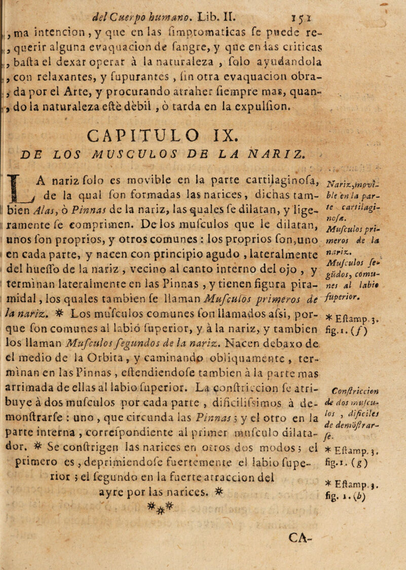 , nía intención , y que en ias íimpcomaticas Fe puede re- ,5 querir alguna evaquacion de fangre, y que en'las criticas batta el dexar operar à la naturaleza , falo ayudándola , con relaxantes, y íupurantes , fin otra evaquacion obra- , da por el Arte, y procurando atraher (tempre mas, quan- , do la naturaleza ette débil , 6 tarda en la expulfion. CAPITULO IX. DE LOS MUSCULOS DE LA NARIZ. - ?: .rú¡ * ¿ \ ' LA nariz folo es movible en la parte cartiiaginofa, de la qua 1 fon formadas las narices, dichas tam¬ bién Alas y ò Pinnas de la nariz, las qua les fe dilatan, y lige¬ ramente fe comprimen. Délos mufculos que ie dilatan, unos fon proprios, y otros comunes : los proprios fon,uno en cada parte, y nacen con principio agudo , lateralmente del hueííh de la nariz , vecino al canto interno del ojo , y terminan lateralmente en las Pinnas , y tienen figura pira¬ midal , los quales también fe llaman Mufculos primeros de la nariz. # Los mufculos comunes fon llamados arsi, por¬ que fon comunes al labio fuperior, y à la nariz, y también los llaman Mufculos fegundos de ¡a nariz. Nacen debaxo de el medio de la Orbita , y caminando obliquamente , ter¬ minan en las Pinnas , efiendiendofe también à la parte mas arrimada de ellas al labio fuperior. La conflriccion fe atri¬ buye à dos mufculos por cada parte , difidlífsimos à de- monftrarfe : uno , que circunda las Pinnas ? y el otro en la parte interna , co rrefp o udiente ai primer maicillo dilata- dor. # Se conftrigen las narices en oíros dos modos? ei primero es, deprimiendofe fuertemente el labio fupe¬ rior 5 el feglindó en la fuerte atracción del ayre por las narices. # Nariz.ym.0vi- ble en la piar¬ te cariilagi- no/a. Mufculos pri¬ meros de la nariz.. Mufculos fe* güdosy comu¬ nes al labio fuperior. * Eífamp, 3» %«•(/) Confi rie don de dos mu [cu¬ los j difíciles de demofírar- fi. * Eílamp, 3, (g) * Eftamp£$. fig. 1. (b) CA-